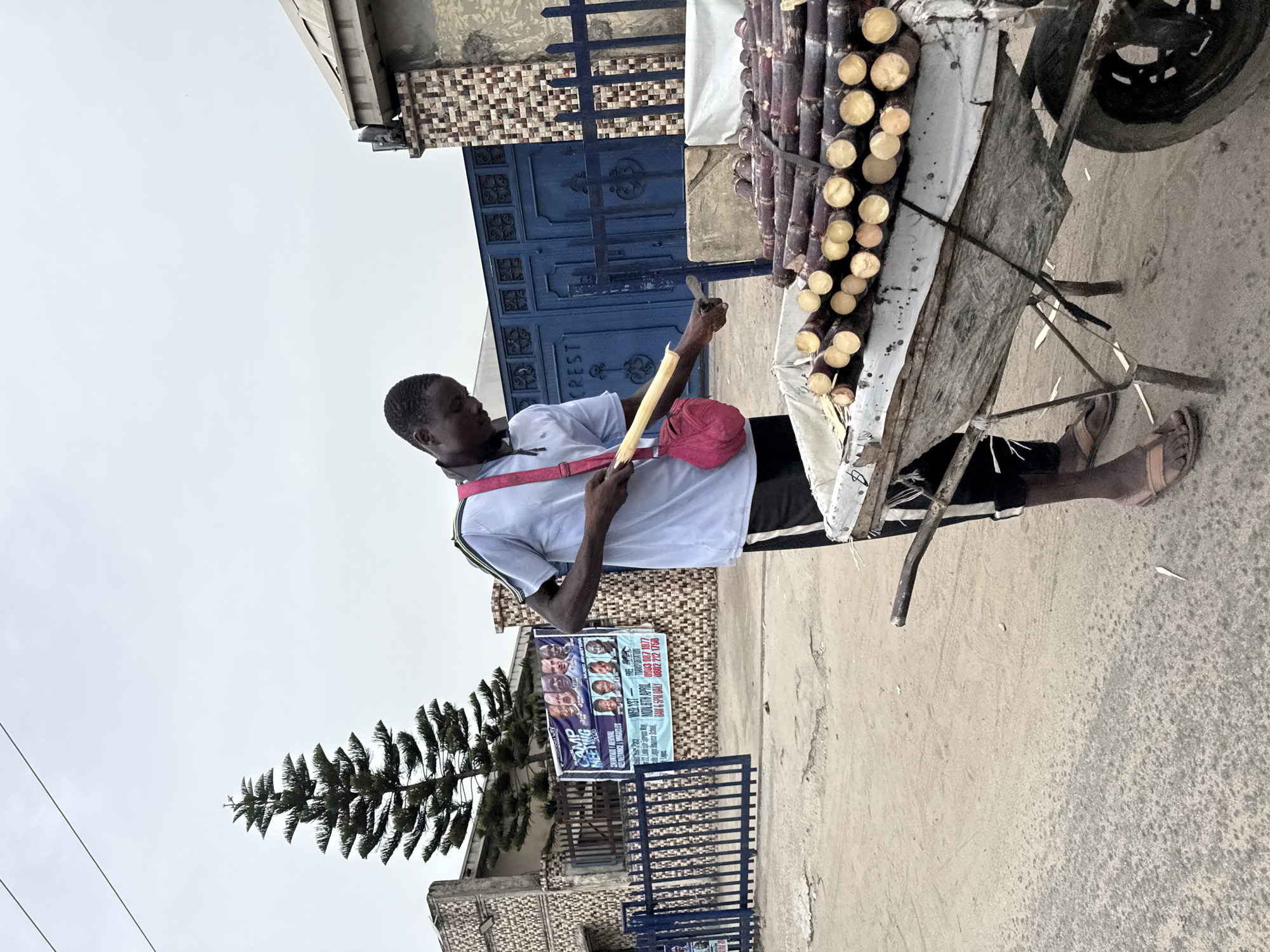 A man stands beside a cart laden with sugar cane in Ado, Nigeria. The man, wearing a white t-shirt, black shorts, and sandals, holds a tool, possibly for cutting the cane. A red bag hangs across his shoulder. The cart is parked on a paved surface, with a blue gate and a building in the background. The building is adorned with a tiled exterior and has a poster advertising a "Camp Meeting" with religious themes. A tall, coniferous tree stands near the building. The sky is overcast.