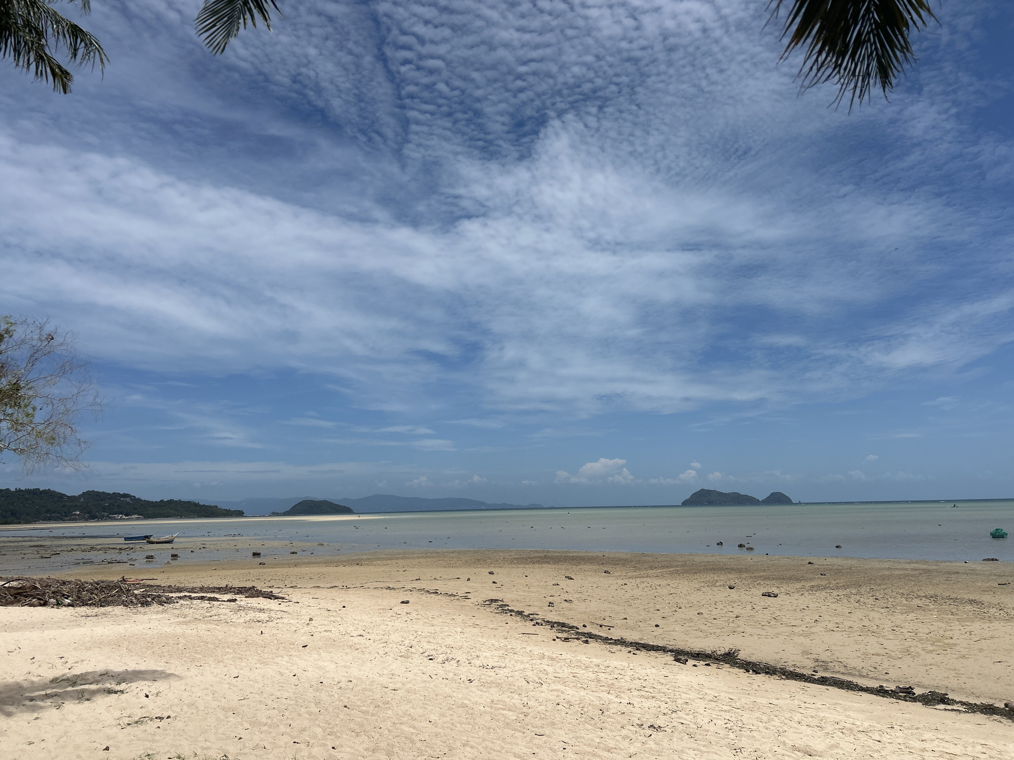 This is a wide-angle, eye-level, horizontal shot of a sandy beach at low tide on Ko Pha-ngan District, Thailand. The foreground is dominated by light-colored sand with scattered debris including driftwood and plastic. In the middle ground, the shallow, calm ocean water stretches towards the horizon, revealing more sand and exposed rocks. Two small boats are visible in the water. A distant, tree-covered island chain forms the background, under a vast blue sky dotted with scattered white clouds and wispy cirrus formations. The upper corners of the image are framed by the fronds of palm trees.