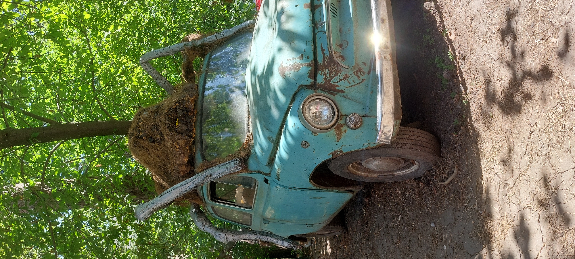 A turquoise, weathered Soviet-era car, likely a ZAZ-965 "Zaporozhets," is parked outdoors on a dirt path in a wooded area. The car's body shows significant rust and wear. It is adorned with a large, homemade spider-like decoration on its roof, constructed from straw or hay with what appear to be wooden or PVC pipe legs. The car is surrounded by trees with lush green foliage, and sunlight filters through the leaves, casting shadows on the ground. The scene appears to be a unique, artistic installation or decoration, possibly in a park or private property within the Berdsk municipality of Russia. There are no people or discernible actions taking place.