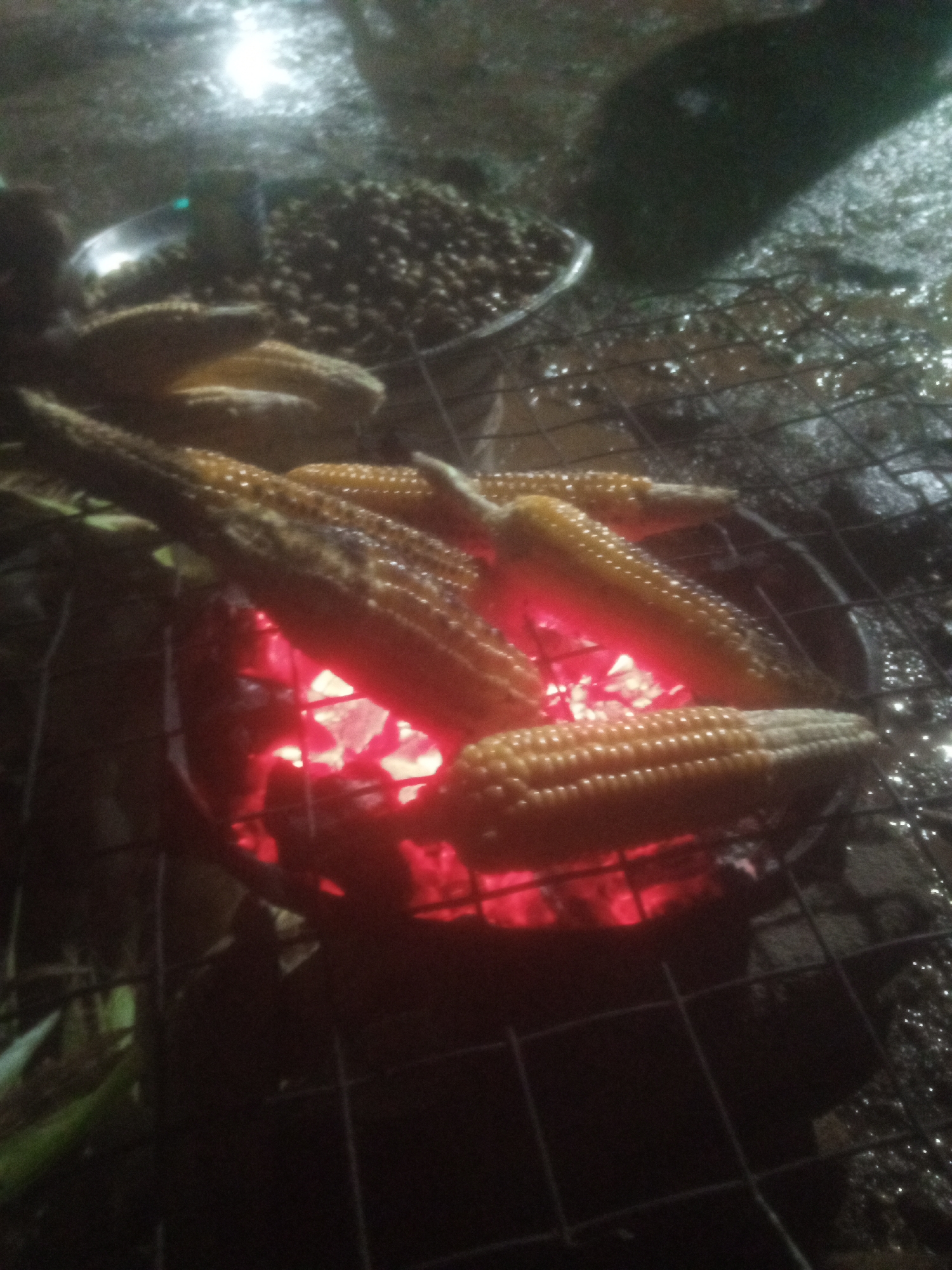 In Tundun Wada West, Nigeria, several ears of corn are being grilled over glowing red coals. The corn is arranged on a metal grate. The scene is dark, suggesting it is nighttime or a poorly lit outdoor area. In the background, a pile of dark, granular material, possibly another food item or ingredients, is visible in a metal bowl. The ground surrounding the grill appears wet and reflective, with scattered water droplets. The overall atmosphere is one of outdoor cooking.