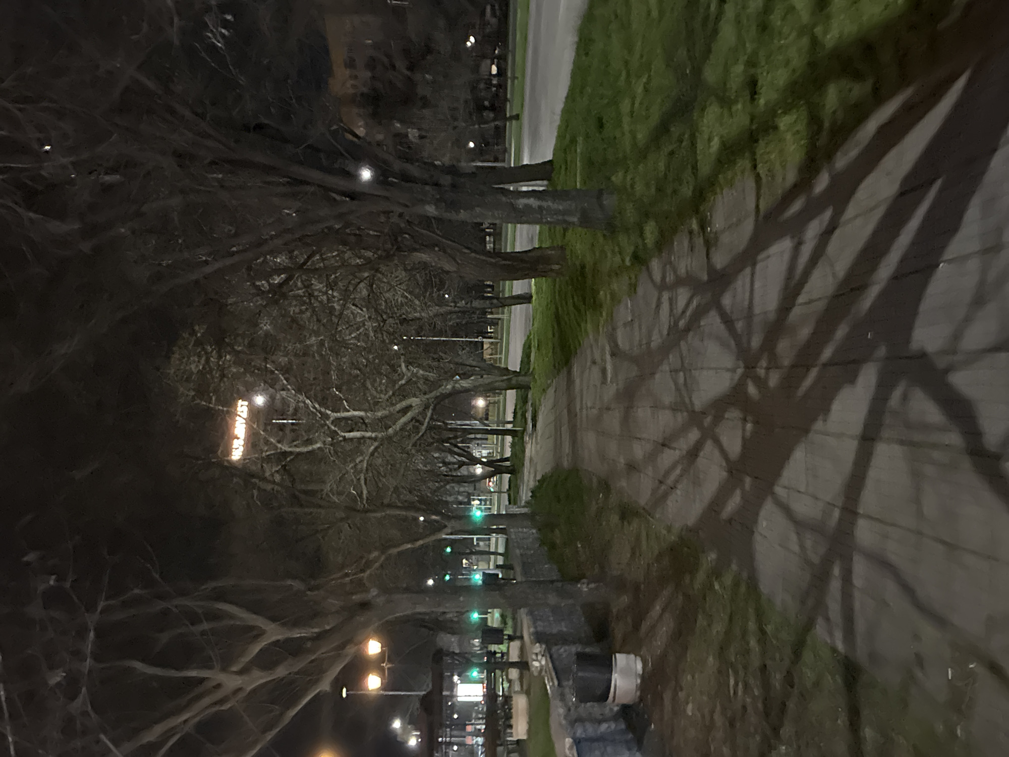 The image depicts a nighttime street scene in Plovdiv, Bulgaria. Bare tree branches are prominent in the foreground, casting shadows on a sidewalk running parallel to a road. The street is lined with trees, and streetlights illuminate the scene. In the background, the word "157 NY/EST" is visible on a sign. Traffic lights, positioned further down the street, emit a green glow. On the right side of the sidewalk is grassy area. There is trash on the ground, including a trash can.