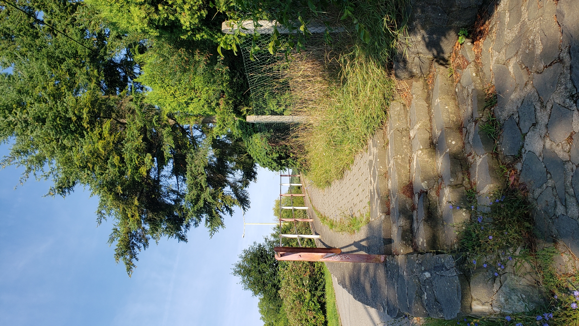 The image shows an outdoor scene featuring a paved pathway winding upwards, bordered by a stone wall and a metal railing. The pathway appears to be made of interlocking bricks. Stone steps are visible leading up to the pathway. Greenery, including trees and bushes, surrounds the pathway. A chain-link fence is also present on the right side of the scene. The sky is clear and blue, indicating fair weather. The overall impression is that of a park or a natural area within an urban setting. There are no people visible in the image. The style of the railing, fence posts, and paving suggests a European setting, possibly in the city of Prešov, Slovakia, given the provided context.