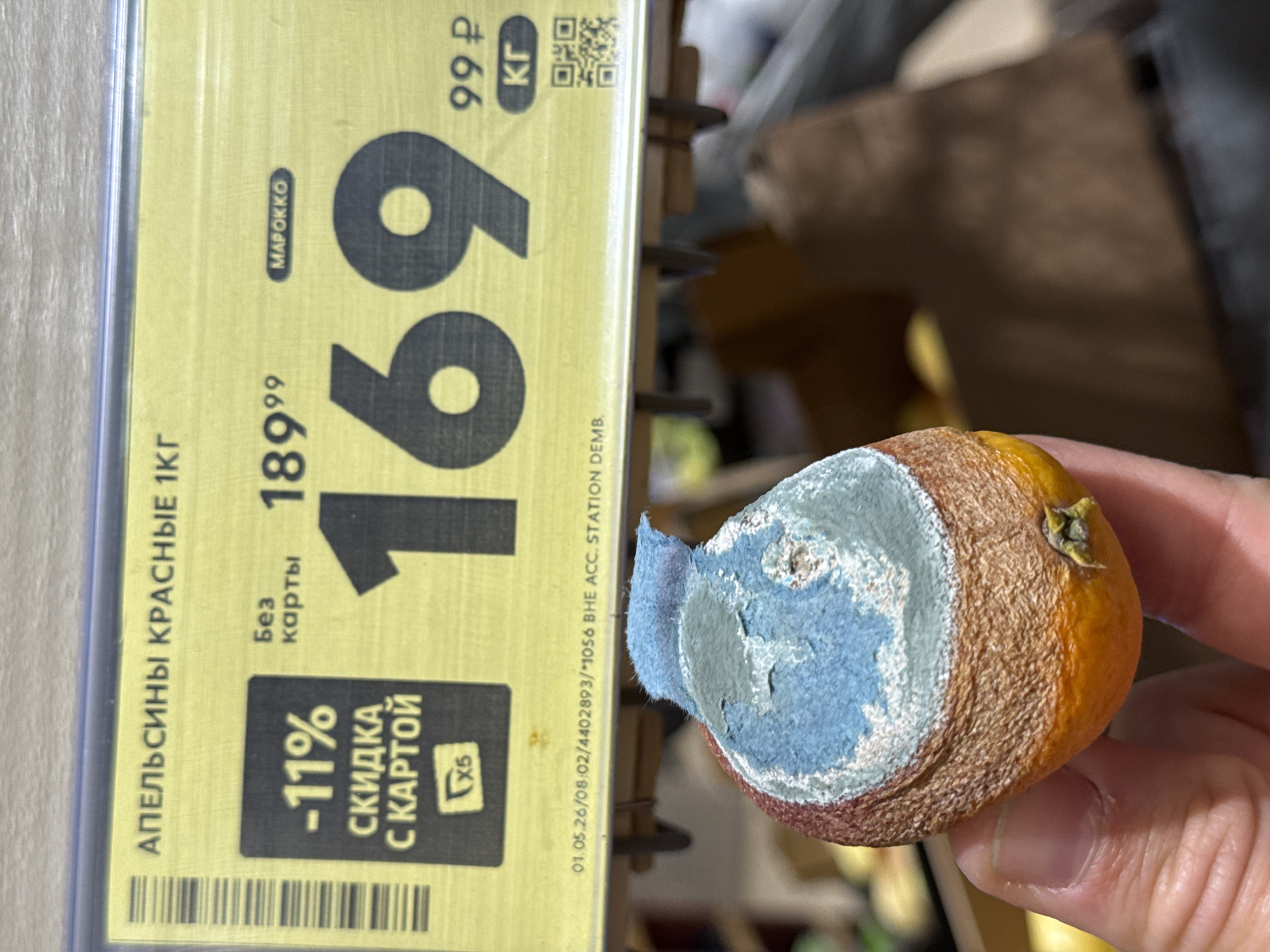 A photograph shows a moldy orange being held in someone's fingers next to a price tag. The tag is yellow with black text indicating that "red oranges" cost 189.99 rubles per kilogram without a store card, but 169.99 rubles with a store card, and that there is an 11% discount with the card. The country of origin is listed as "Morocco." The location information at the bottom is "01.05.26/08:02/4402893/*1056 BHE ACC. STATION DEMB." The orange has blue and grey mold growing on one side.