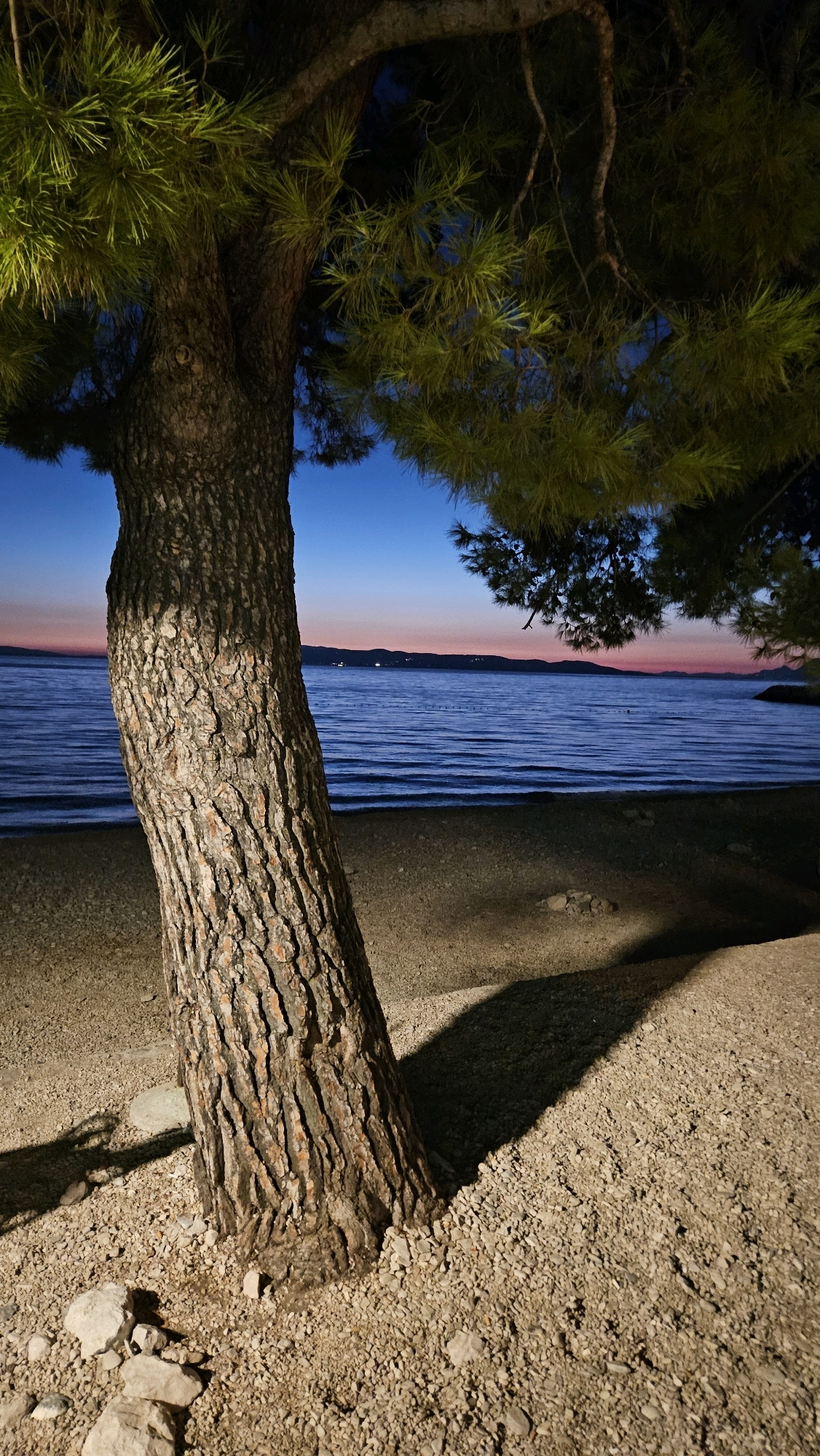 A close-up shot focuses on the textured bark of a mature pine tree in the foreground, its trunk leaning slightly to the right. The tree is situated on a pebble-strewn beach. In the background, the sea stretches out under a twilight sky painted with hues of deep blue, fading into soft orange and pink near the horizon. Distant, silhouetted hills are visible along the coastline. The scene suggests a tranquil evening by the Adriatic Sea, possibly in the municipality of Općina Tučepi, Croatia, given the typical coastal landscape and vegetation of the Dalmatian coast.