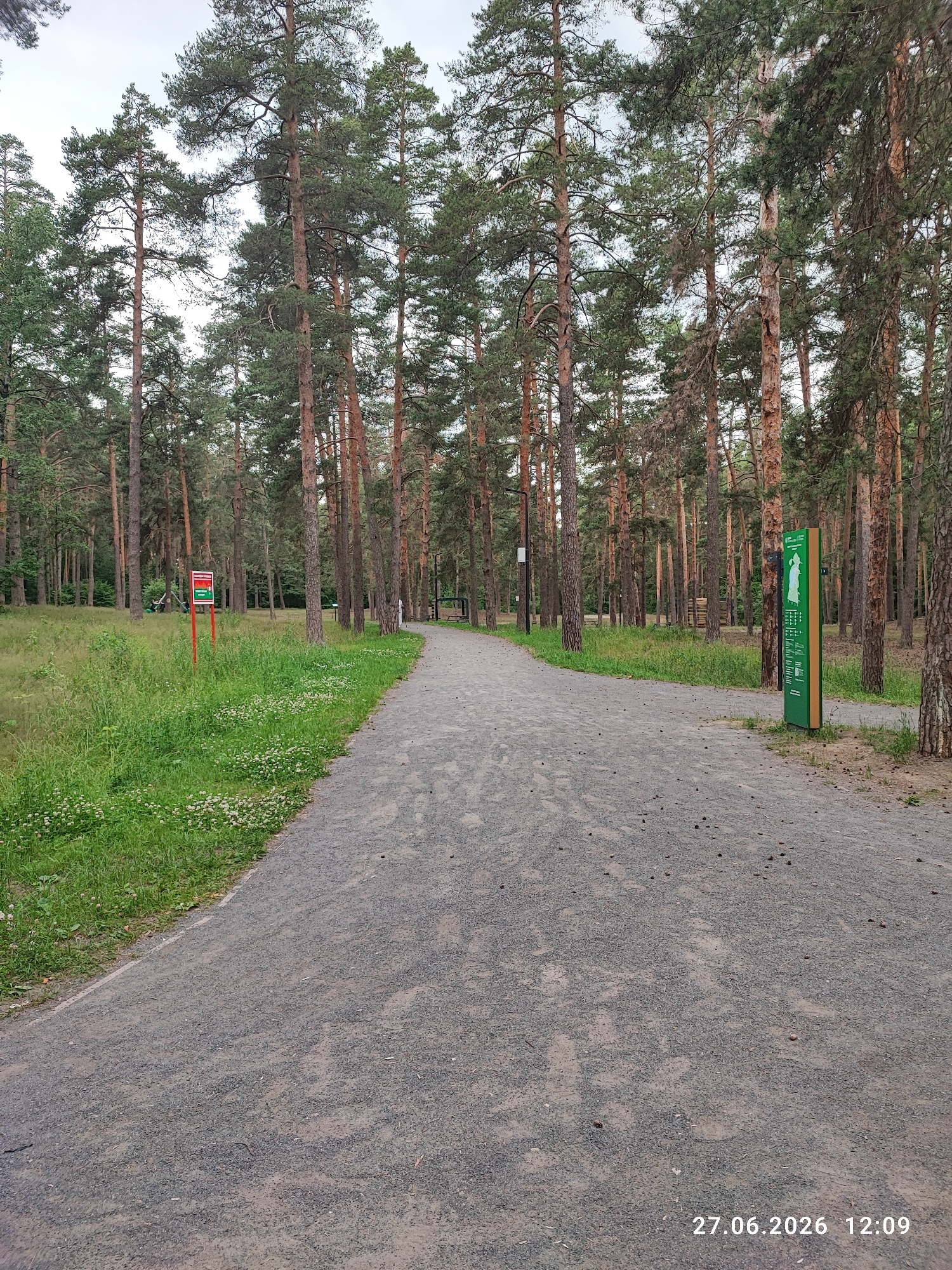 This is a photograph taken from a walking path in a park. The path is made of gravel and curves gently to the right and into the distance. On the left side of the path, there is a grassy area with small white flowers. In the background, there is a dense forest of tall pine trees. Two green information signs are visible, one on the left and one on the right side of the path, near the entrance. A timestamp in the lower right corner reads "27.06.2026 12:09". The image depicts an outdoor recreational area within a wooded environment.