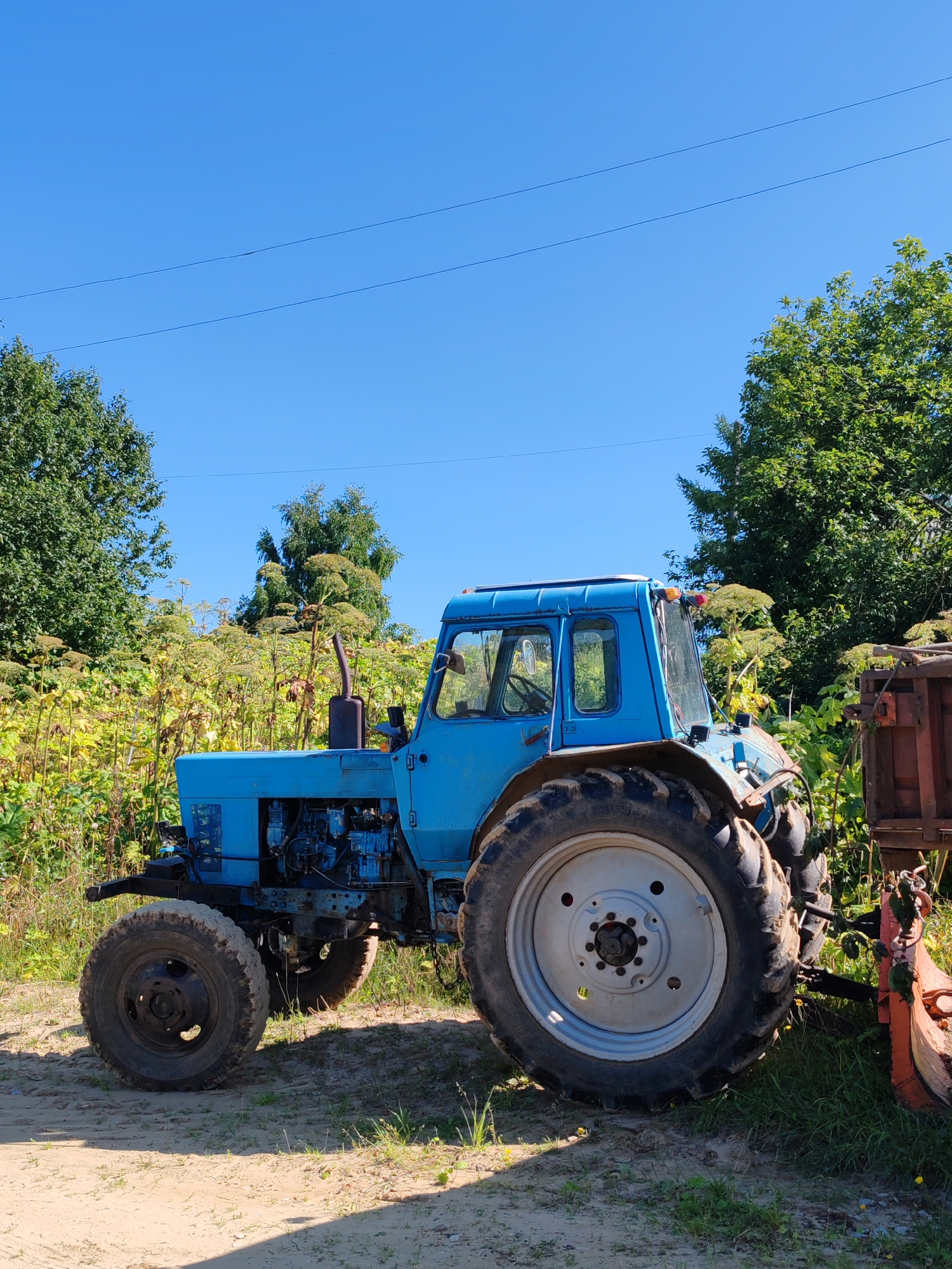 A blue tractor is parked on a dirt path in a rural area, possibly in the city of Chuchlam, Russia. The tractor is facing to the right, with its large rear tire prominently displayed. Behind the tractor, there is a dense growth of tall, green plants, some of which appear to be hogweed. In the background, there are several large trees, and a clear blue sky stretches above. A few power lines are visible in the sky. To the right of the tractor, part of a rusty red trailer is visible, attached to the tractor's rear. The overall scene suggests a sunny day in a natural, outdoor setting.