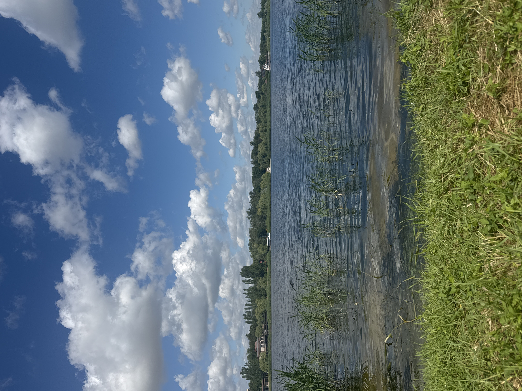 This is a vertical, eye-level, medium shot of a body of water, likely a lake or river, with a grassy embankment in the foreground. The water is dark blue and rippled, with reeds growing along the edge. In the distance, across the water, is a treeline with buildings interspersed. A white boat is visible on the water to the right, and another to the left. The sky is a bright blue with fluffy white clouds. The scene is likely from Marianivka, Ukraine, given the provided context.
