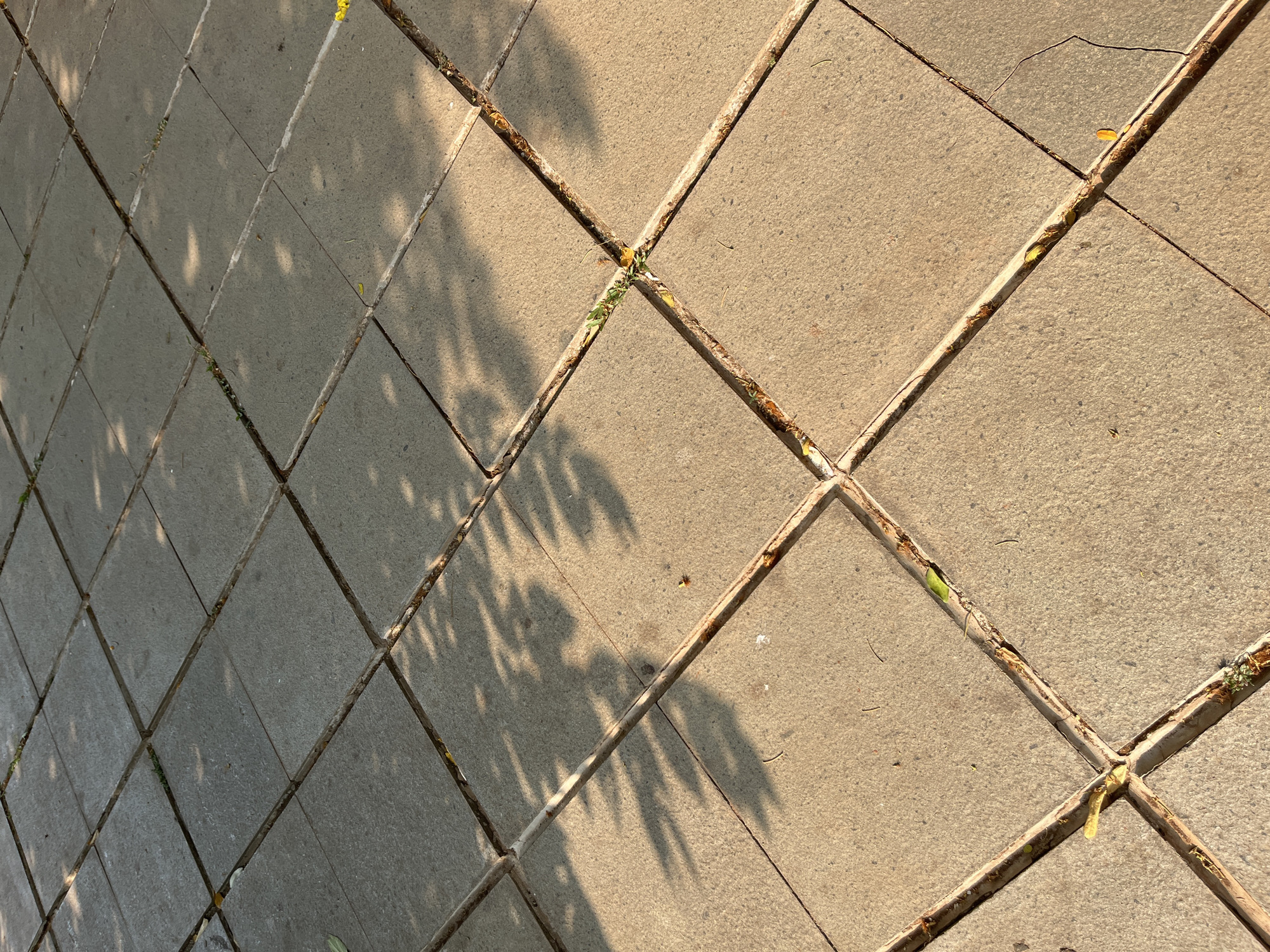 The image shows a close-up, high-angle view of a paved walkway in East Jakarta, Indonesia. The walkway is made of square concrete tiles laid in a grid pattern. The tiles are light brown and show some wear and tear, with small gaps between them filled with dirt and occasional bits of green grass. Sunlight casts dappled shadows of tree leaves across the surface, suggesting an outdoor setting with overhead foliage. The scene appears to be a public space, possibly a park or a pedestrian path, given the paving stones and the natural elements present. There are no people or discernible human activity in the frame. The overall impression is one of a quiet, sunlit outdoor area within the urban environment of East Jakarta.