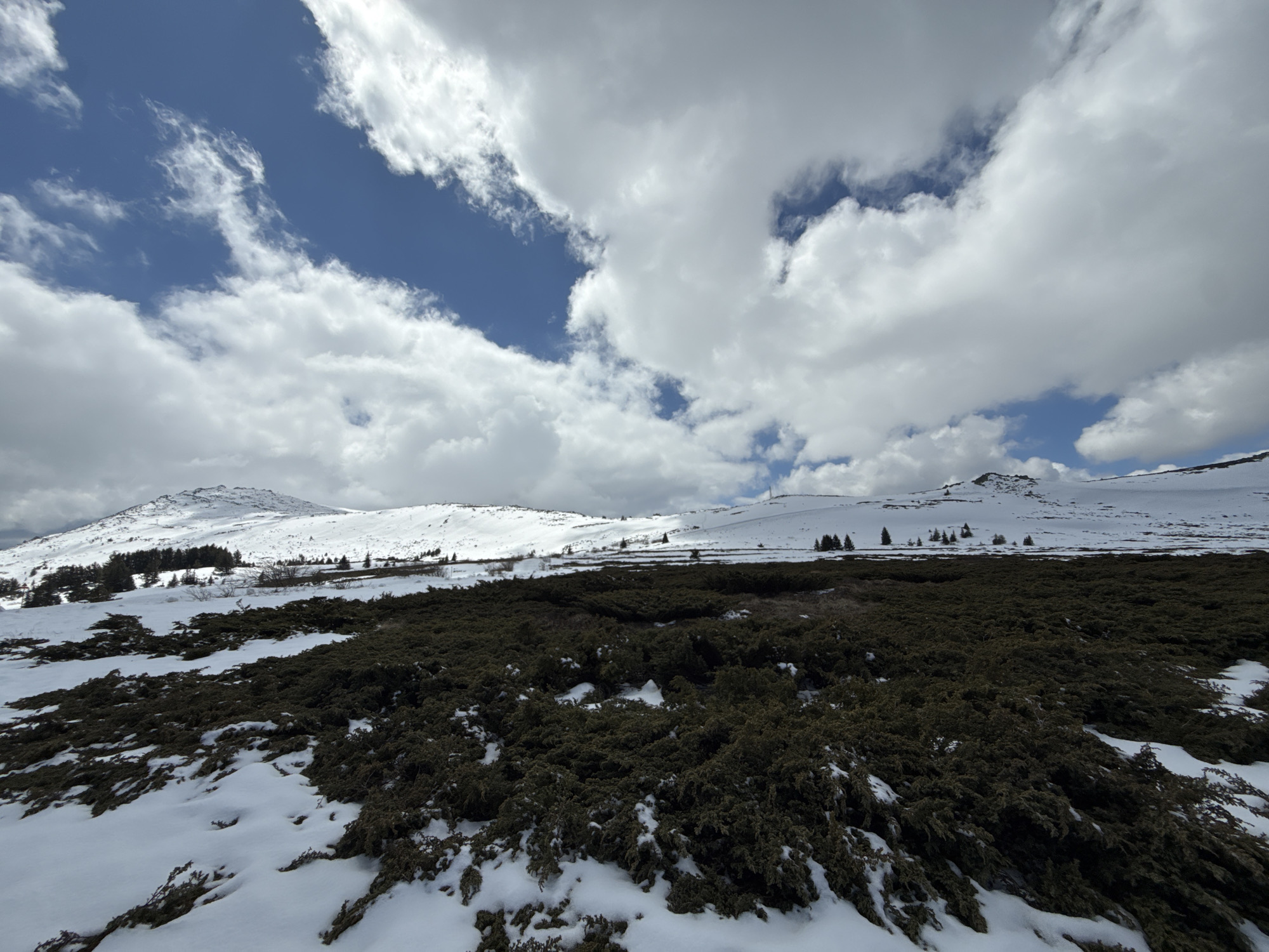 The image depicts a winter landscape on Vitosha Mountain, located near Sofia, Bulgaria. The foreground features low-lying, dark green vegetation partially covered in snow. The middle ground shows a snowy plain with sparse trees and shrubs. In the background, snow-covered mountain peaks are visible under a sky filled with white, puffy clouds and patches of blue sky. There are no people visible in the image.