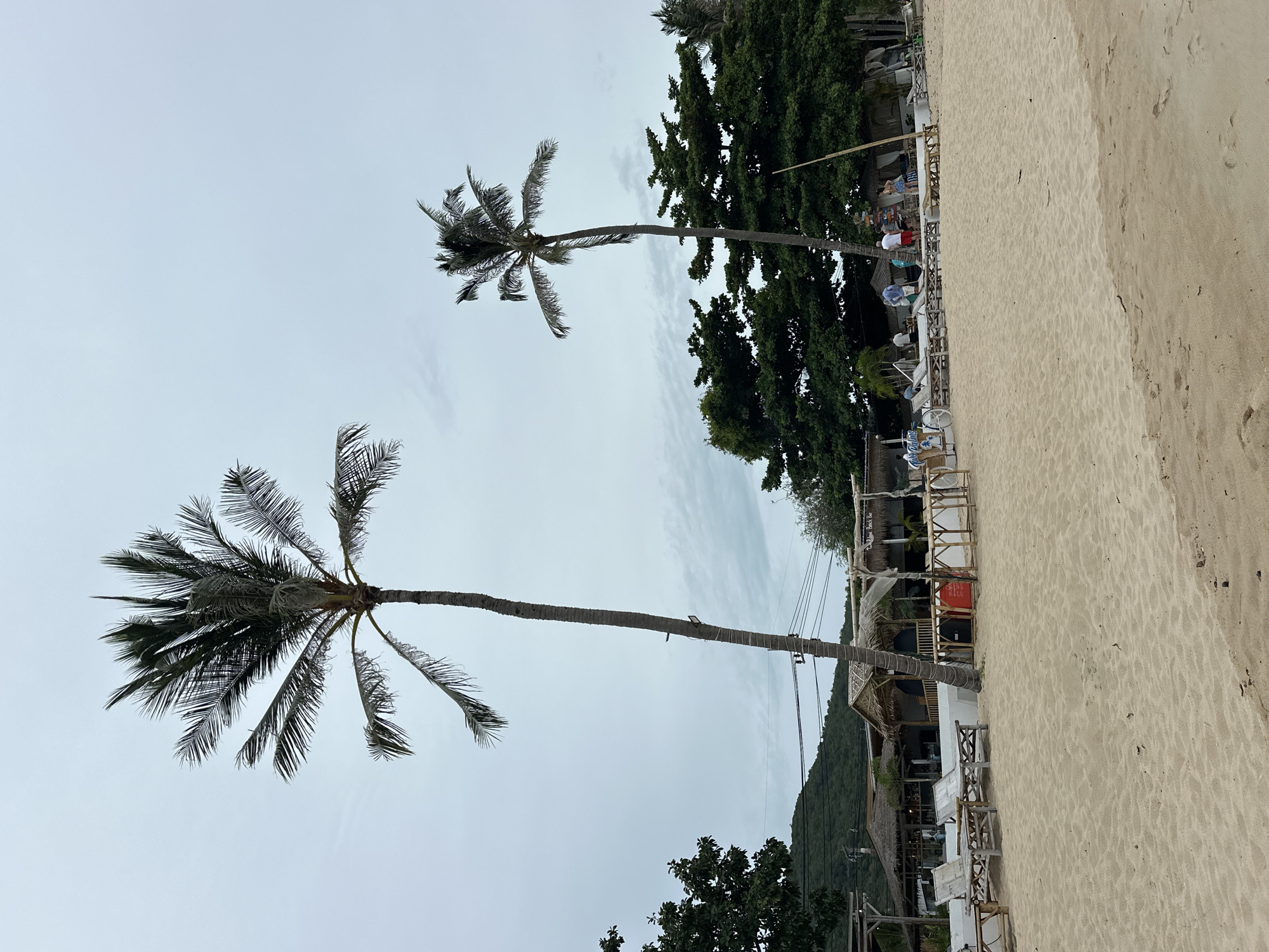 The image depicts a beach scene in Ko Samui District, Thailand, with sandy ground in the foreground. Two tall palm trees dominate the scene, one on the left and another further back and to the right. In the middle ground, there is a cluster of thatched-roof structures that appear to be part of a beach resort or bar, with several wooden tables and chairs set up on the sand. A group of people are visible near these structures, some standing and others seated on lounge chairs. Behind the resort area, lush green trees and a hillside covered in vegetation are visible. The sky is overcast with clouds, suggesting a temperate or possibly rainy day. The overall atmosphere is relaxed and tropical.