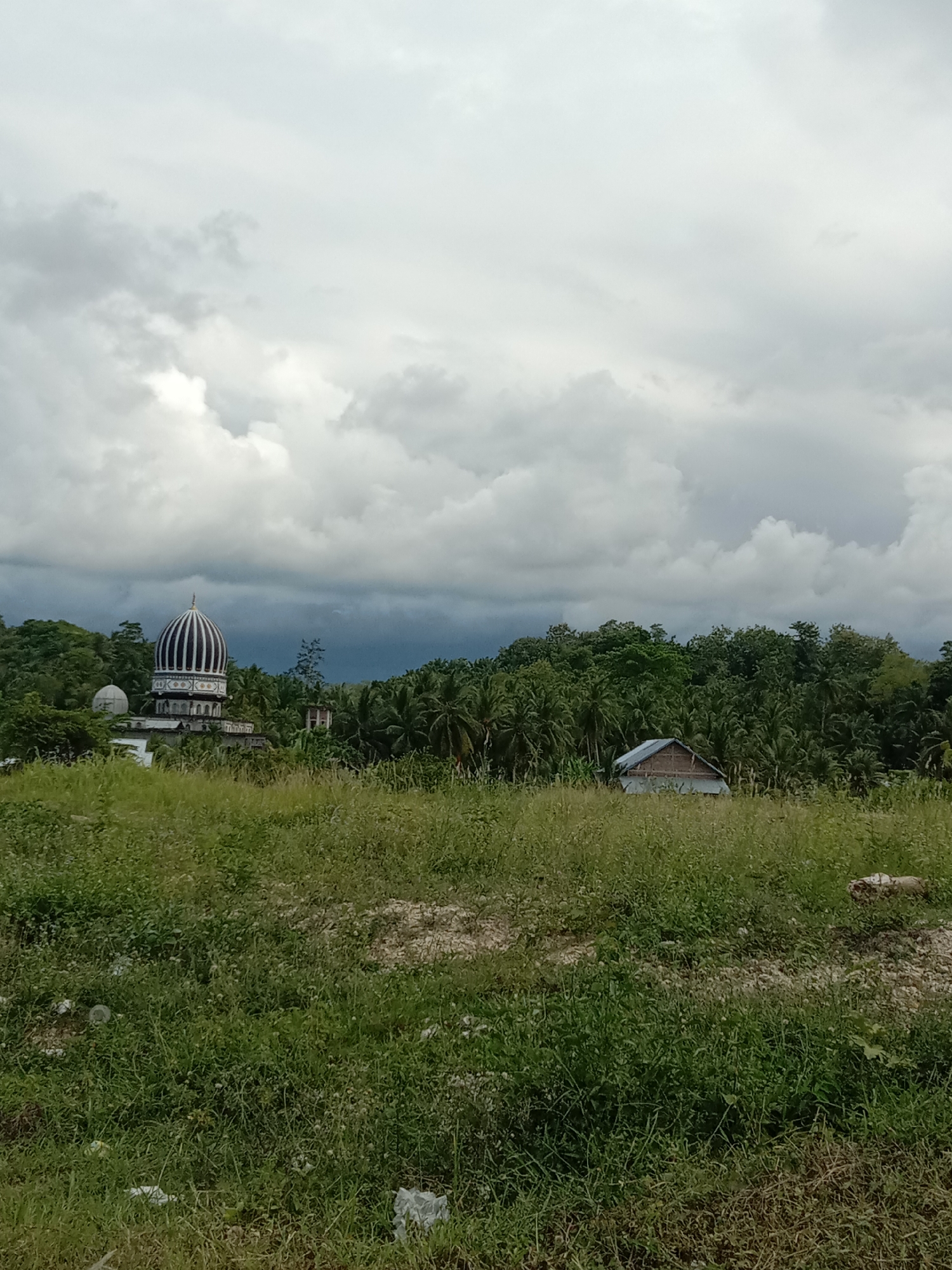 The image depicts a landscape in Seuneubok, Indonesia, under an overcast sky. In the middle ground, there is a building complex with a prominent dome structure, possibly a mosque or religious building, surrounded by lush, dense tropical trees. To the right, a simple wooden house is partially visible amidst the foliage. The foreground features tall green grass, suggesting an undeveloped area. Scattered debris can be seen in the grass. The sky is filled with grey clouds, indicating a cloudy day or approaching rain.