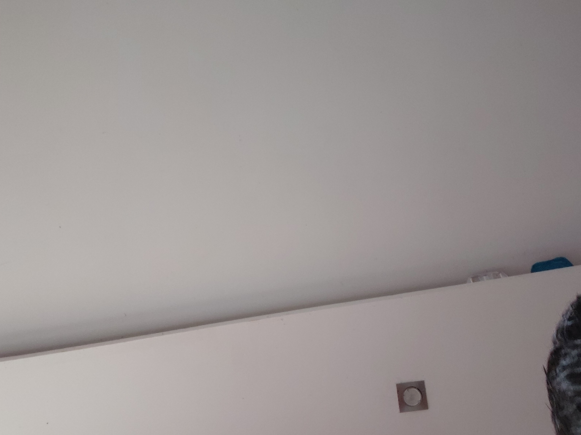 The image presents an indoor scene primarily composed of a light-colored ceiling and the upper part of a wall. Both surfaces are painted in a plain, off-white or light gray tone, appearing smooth and clean. A crisp, straight line divides the ceiling from the wall.
On the wall, towards the bottom right, a modern, square-shaped light fixture with a circular, recessed element is visible. Above the wall, on what seems to be a narrow ledge or the top surface of a piece of furniture, a few objects are partially seen. To the right, there is a bright blue item, possibly a piece of fabric like a towel or a container. Adjacent to it, a clear or translucent plastic container with a textured surface is also present.
In the extreme bottom right corner, a section of a person's head is visible. The hair appears dark and textured, possibly curly, with lighter highlights or specks that could be water or a product. The lighting in the room is bright and even, characteristic of indoor illumination during the day or from artificial sources. There is no discernible activity taking place, and no text is visible in the frame. The setting is generic, offering no specific visual cues to pinpoint a location within Santa Ana, Venezuela.