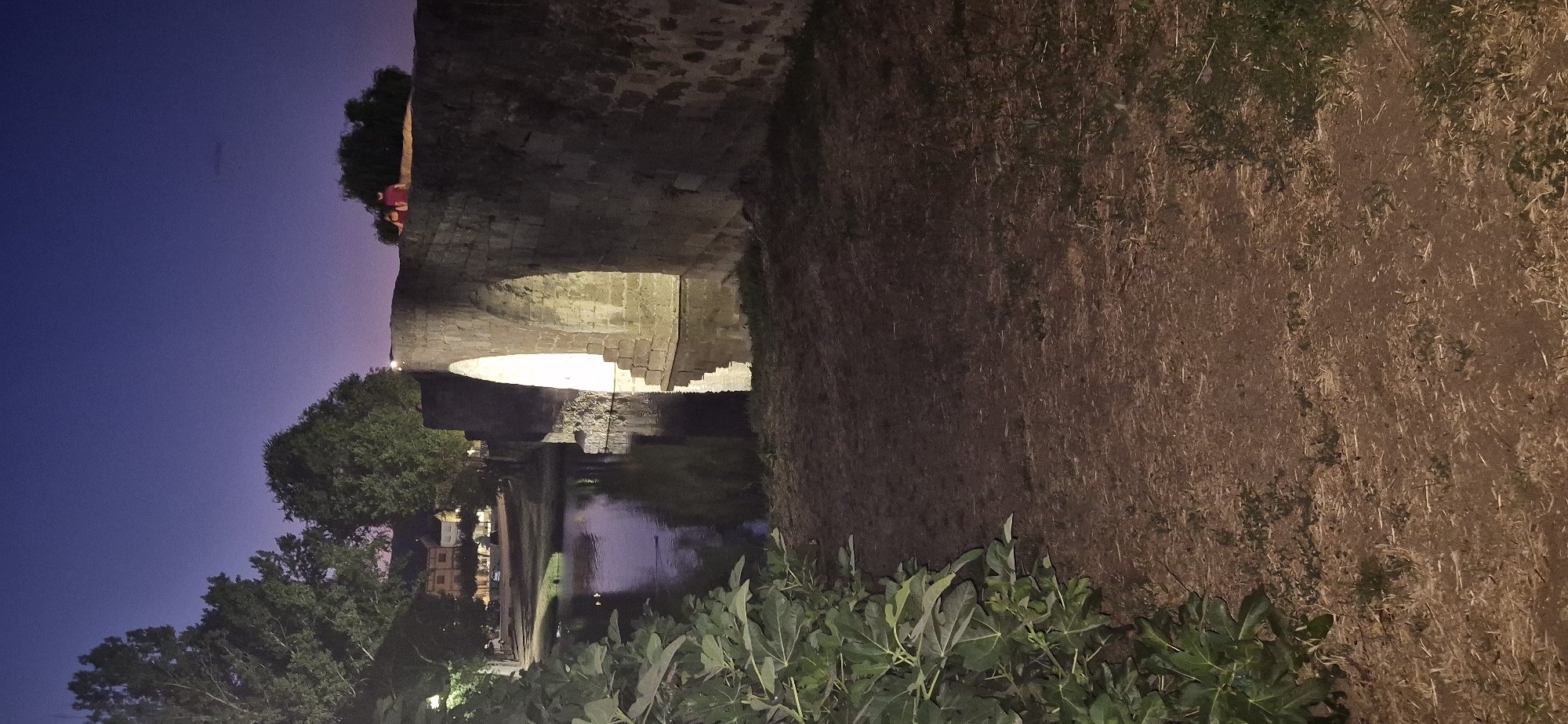 The image depicts a stone bridge over a body of water at dusk in Navaluenga, Spain. The sky is a deep purple, transitioning to a lighter shade near the horizon. The bridge has multiple arches, one of which is illuminated from within, casting a warm glow on the water below and the surrounding stonework.
On the bridge's parapet, two individuals are visible from behind, a male and a female, both wearing casual clothing. The male is in a red t-shirt and the female in a dark top. They appear to be looking out at the scenery.
To the left of the bridge, lush green foliage, possibly fig leaves, overhangs the bank. Across the water, several buildings with lights on are visible, suggesting a settlement or village. The water reflects the lights from the bridge and the sky, creating a serene and atmospheric scene. The ground in the foreground is covered with dry grass and soil, with some patches of green vegetation. The overall ambiance is peaceful and tranquil, characteristic of a twilight setting in a natural landscape.