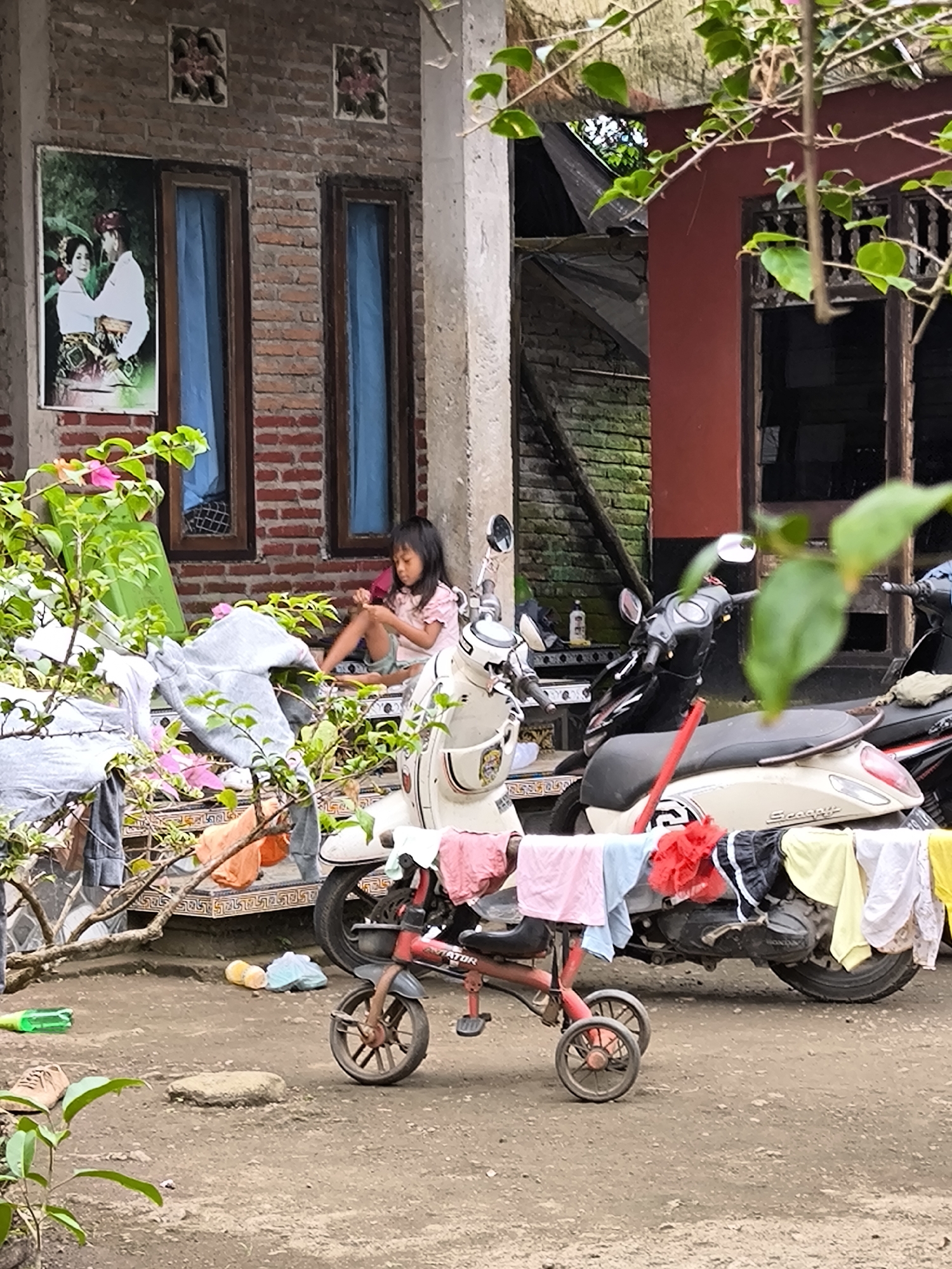 The image captures an outdoor residential scene in Negara, Indonesia. In the immediate foreground, a young girl with long dark hair, dressed in a pink t-shirt and light-colored shorts, sits on the tiled steps of a building. She is actively engaged with an object held in her hands. The building behind her features an exposed red brick facade, interrupted by two narrow wooden-framed windows fitted with light blue curtains. Between the windows, a framed portrait displays a couple in traditional Balinese attire, and two square decorative tiles with floral motifs are mounted above the windows. Green foliage with pink blossoms partially obscures the left side of the steps and the foreground.
The ground area is unpaved dirt. A red three-wheeled child's bicycle, bearing the label "AVIATOR," is centrally positioned, with various articles of laundry draped over its frame. To the right, a light-colored Honda Scoopy scooter is parked, utilized as an informal clothesline for multiple garments. A second, darker scooter is parked directly behind it. Additional items on the dirt ground include a single brown shoe on the far left, a green plastic bottle, and a cluster of yellow fruit adjacent to a light blue plastic bag.
In the mid-ground, a structure with a reddish-brown painted wall transitions to a darker section, revealing an open window with intricate dark wooden bars. Further back and to the left of this wall, a section of a moss-covered brick wall and a dark, possibly corrugated roof structure are visible. The scene portrays a lived-in residential environment with everyday activities such as outdoor laundry drying.