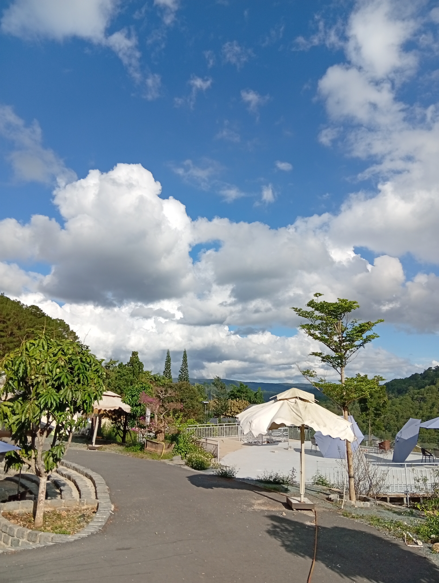 A daytime scene features a paved road curving through a landscape dotted with trees, structures, and mountainous terrain in the background. The sky overhead is bright blue, filled with puffy white clouds.
On the left side of the road, there is a small seating area with a stone wall. Beyond this, there are trees and a gazebo-like structure.
To the right, the road leads to a raised platform area with several white parasols and outdoor furniture. Additional mountain ranges can be seen in the distance.
This image is of the city of Da Lat, Vietnam.