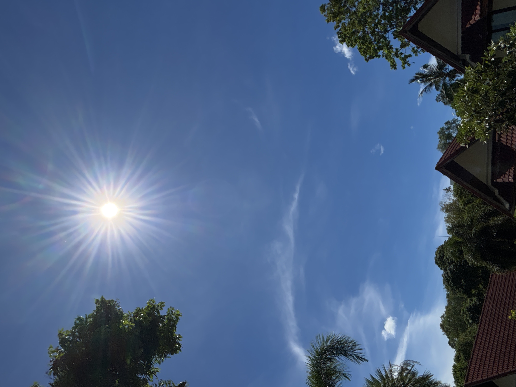 A bright sun with visible rays shines in the clear blue sky, positioned in the upper center of the frame. The sun is casting lens flares. On the left side of the image, a portion of a green tree with dense foliage is visible in the top corner. In the lower left, a frond from a palm tree extends into the frame. A thin, wispy white cloud stretches horizontally across the middle of the sky. Towards the bottom of the image, the roofs of two buildings are visible, characterized by dark red tiles and light-colored walls, with green foliage and trees surrounding them. On the right side, the top of another green tree is visible in the upper right corner, and more foliage and part of a palm tree are seen near the right edge of the frame. The scene depicts an outdoor environment under a sunny sky, likely in a tropical or subtropical location given the presence of palm trees and lush greenery. This appears to be a residential or resort area in Baan Bang Rak, Thailand, characterized by typical tropical architecture and vegetation. There are no people or animals visible in the image.