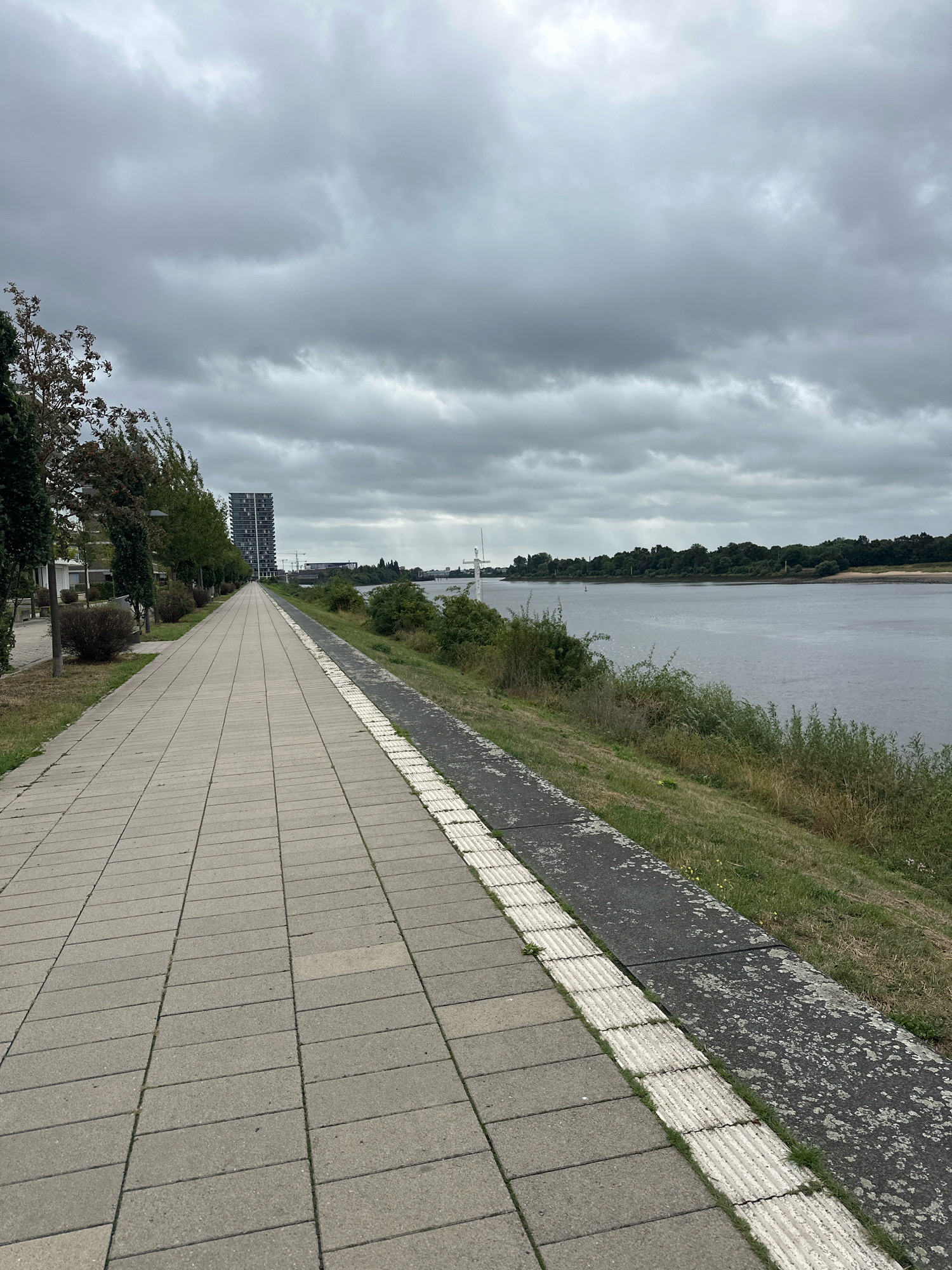 An overcast sky looms over a wide, paved walkway bordering a river. The walkway, made of rectangular grey pavers laid in a stretcher bond pattern, stretches into the distance, lined with green grass and some bushes on its right. A textured, tactile paving strip runs along the edge of the walkway. Beyond the grass and a low embankment, the wide, grey river flows calmly, its surface reflecting the dull sky. Trees and other vegetation line the opposite bank, with a distant city skyline featuring a tall, modern building and some cranes visible. To the left of the walkway, a row of trees and low bushes are planted alongside a series of apartment buildings, suggesting an urban or suburban residential area. The scene appears to be located in Bremen, Germany, likely along the Weser River. There are no people or animals visible in the image.