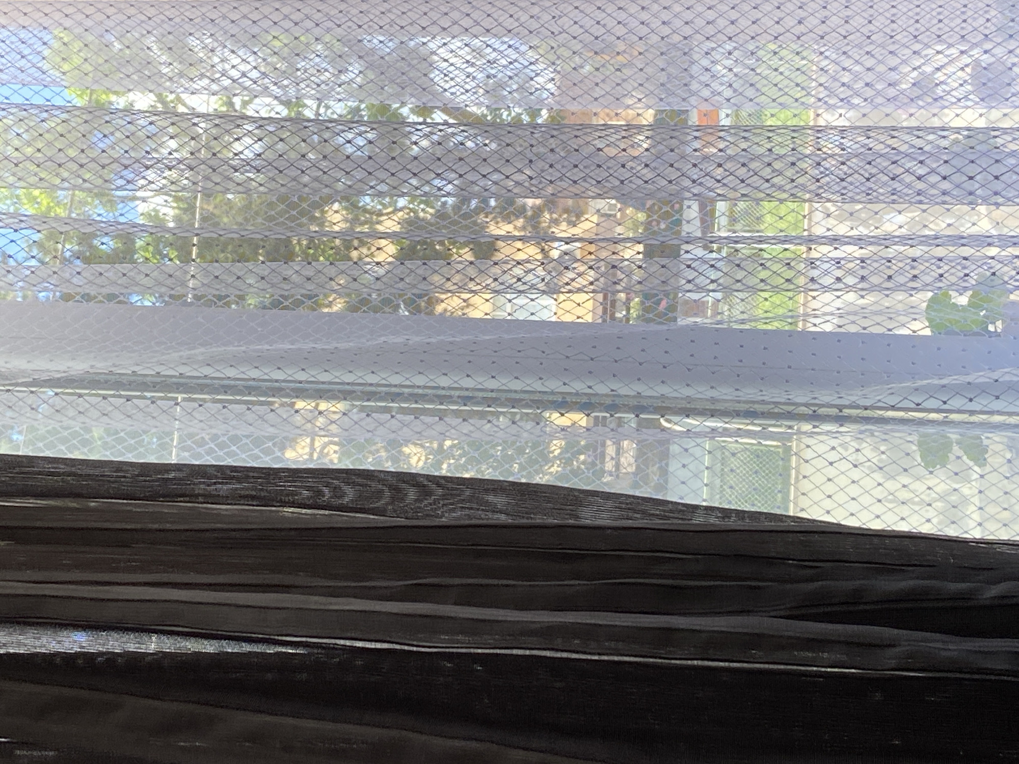 The image shows a view through a window covered by a white net-like curtain. Blinds are partially drawn, obscuring the outside view. Beyond the blinds and curtain, there are trees and buildings. The location cannot be determined to be Ivaylovgrad, Bulgaria from the provided image.