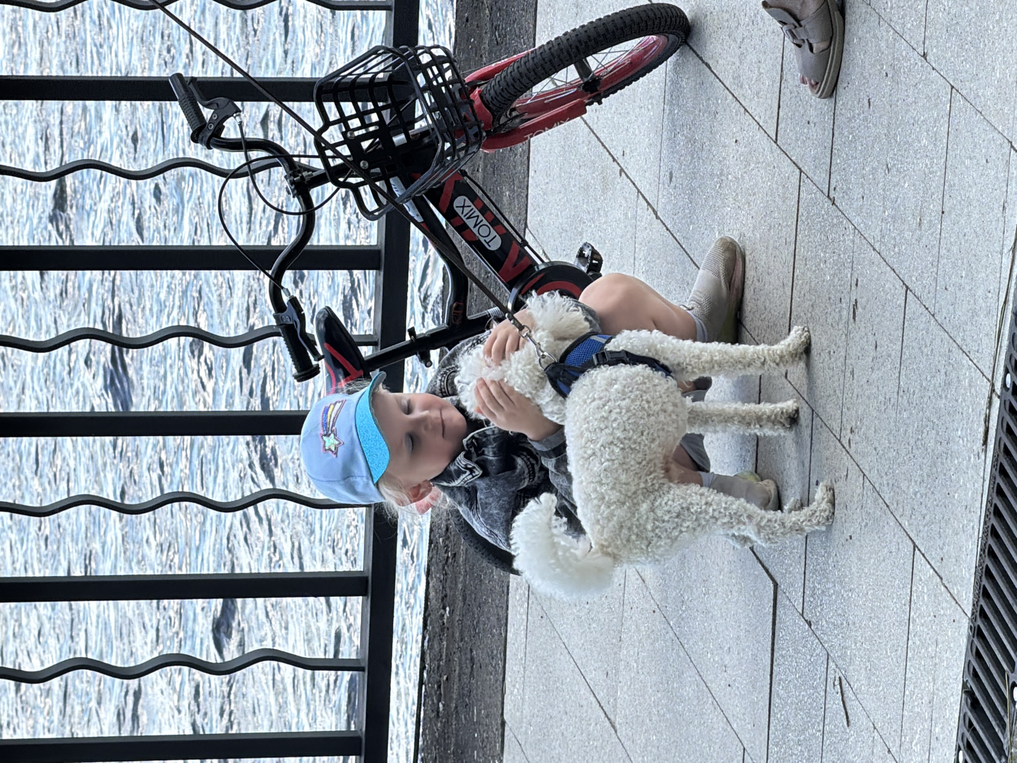 A young Caucasian child wearing a blue baseball cap with a rainbow star design and a dark denim jacket kneels on a paved walkway next to a black and red bicycle with a basket. The child is petting a small, curly white dog. The dog is wearing a blue harness. A black metal fence with wavy bars separates the walkway from a body of water. The location is the embankment of the Kama River in Chaikovsky, Russia. The overall scene depicts a casual outdoor moment.