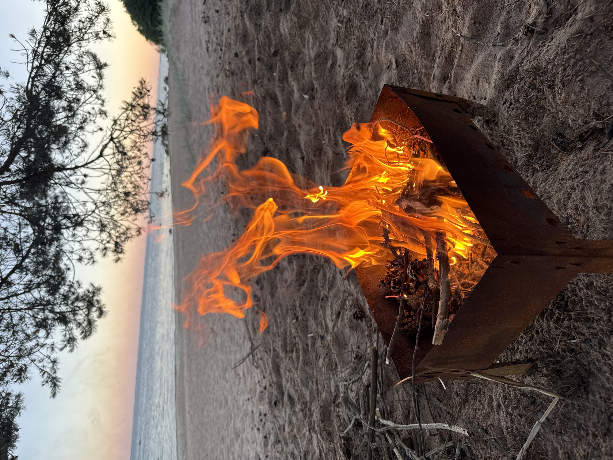 An outdoor fire burns in a rusty metal brazier on a sandy beach in Zelenaya Roshcha, Russia. The brazier is filled with burning wood and pinecones, with flames reaching upwards. In the background, the calm sea meets the horizon under a twilight sky displaying soft hues of pink and orange. Pine branches hang overhead, silhouetted against the sky. The sandy beach is strewn with dried twigs and pinecones. The scene depicts a serene evening by the coast.
