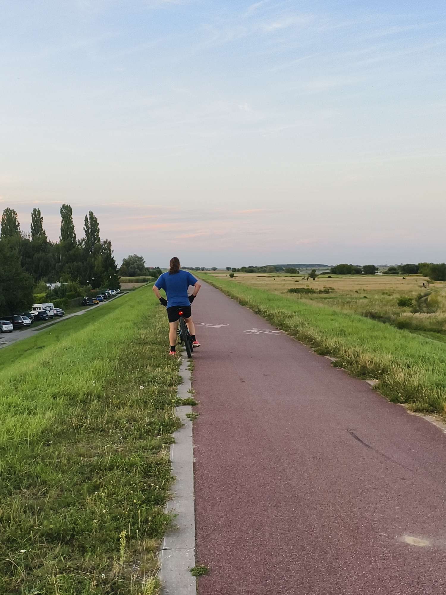 The image shows a person riding a bicycle on a paved path. The path is bordered by a grassy embankment on the left and a field on the right. In the background, there are trees, a parking lot with several cars and a camper, and a distant landscape. The sky is a pale blue with wispy clouds, suggesting it is either early morning or late evening. This scene appears to be along the Vistula River embankment in Tczew, Poland, a popular area for cycling and recreation.