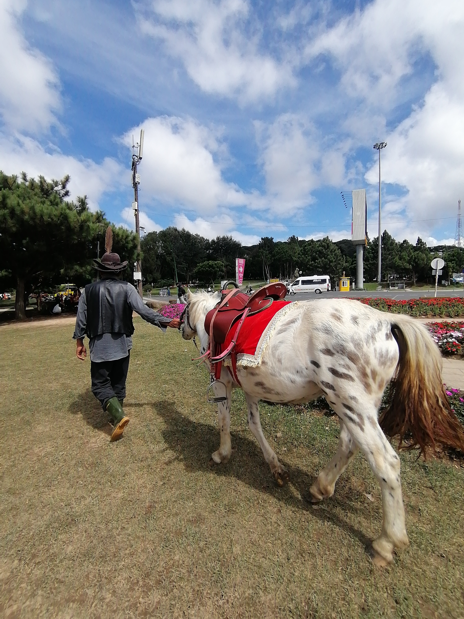 A man in a cowboy hat and a leather vest walks a spotted horse with a red saddle on a grassy area in Da Lat, Vietnam. The man is holding the horse's reins with his left hand, while his right hand is extended towards the horse's head. The horse has a red blanket and saddle. In the background, there are trees, a cell tower, a street with a white van and a yellow booth, and flowerbeds. The sky is blue with white clouds.