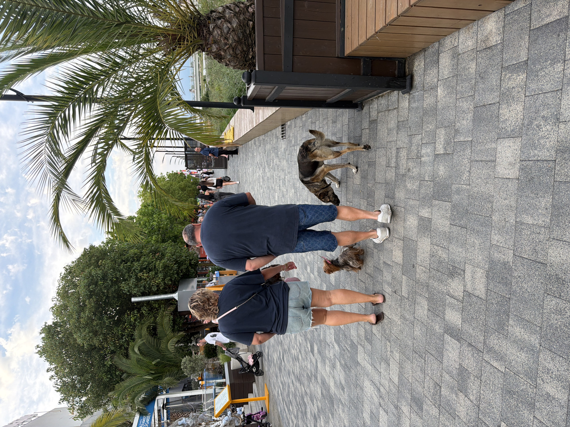 In Sochi, Russia, on a cloudy day, a group of people walk along a paved promenade lined with palm trees and wooden benches. The scene suggests a leisurely stroll, possibly during daylight hours.
Among the people, a man and a woman are prominent in the foreground, walking together. The man wears a navy blue t-shirt and patterned shorts, while the woman is in a navy t-shirt and denim shorts. They are accompanied by two small dogs, one of which is leashed to the woman. In the background, other individuals are seen walking or standing, suggesting a public gathering or a busy walkway.
A large dog is also present, walking on the promenade. The architectural elements include wooden benches and dark metal railings, indicative of a well-maintained public space. The lush green trees and palm fronds create a natural, almost tropical ambiance.
The paving stones are laid in a uniform pattern, adding to the organized aesthetic of the promenade. The sky is partially covered with clouds, hinting at a moderate weather condition. The overall impression is one of a relaxed outdoor setting, likely a popular spot for recreation and sightseeing. The visible text "FAMILY GARDEN" on a sign in the background provides a possible clue to the area's theme or purpose.