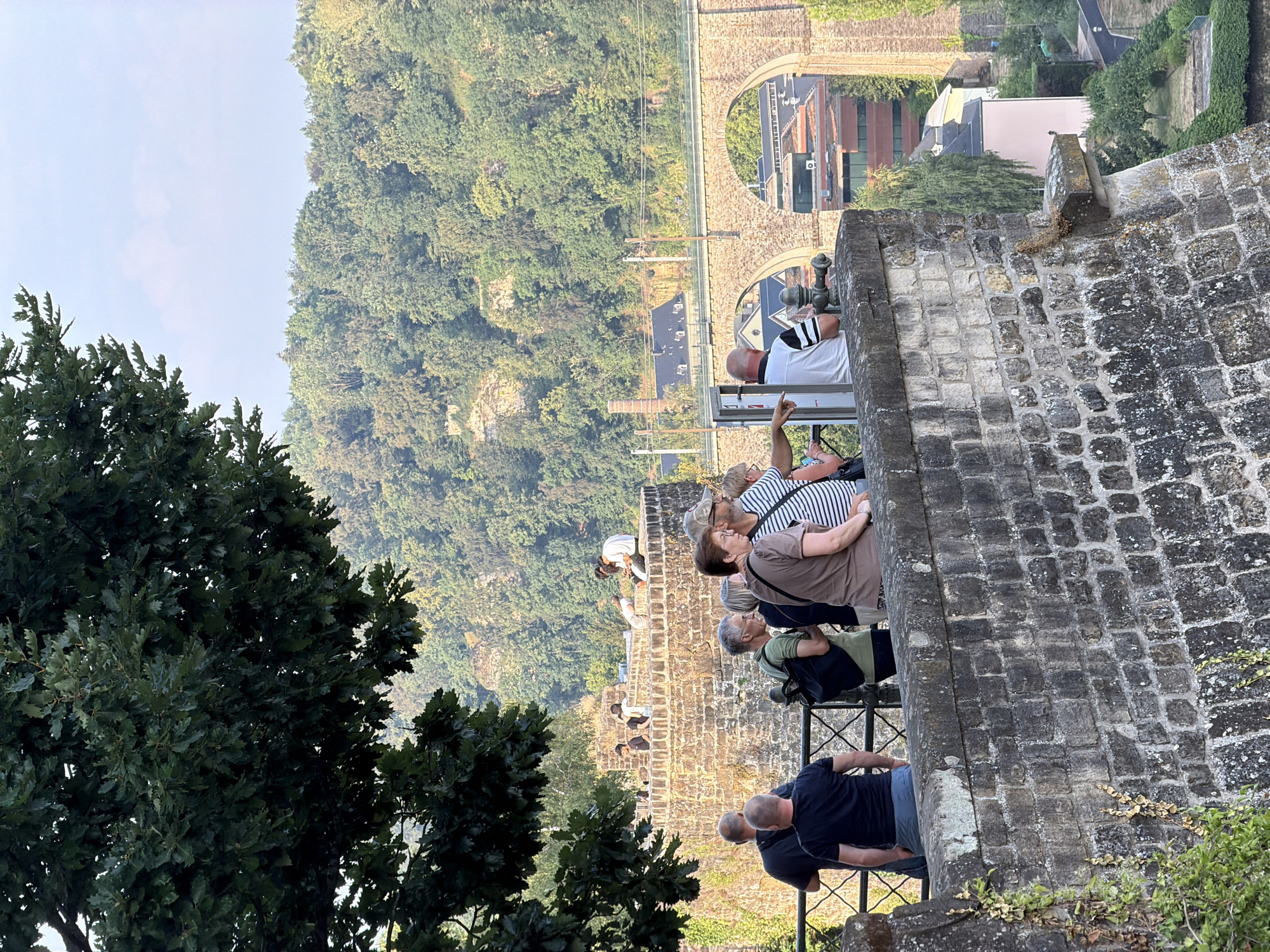 The image shows a group of people standing on a stone wall overlooking a valley in Luxembourg City, Luxembourg. In the foreground, several individuals are gathered near a dark metal railing, looking out at the scenery. A large tree with dark green leaves shades the upper left portion of the frame.
Beyond the wall, a stone bridge with multiple arches spans the valley. In the distance, a dense forest covers the hillsides. Buildings with red tile roofs and modern architecture are visible in the valley below the bridge. The sky is a light blue with a few scattered clouds. The overall impression is a scenic overlook in a European city, likely a historical or tourist area.