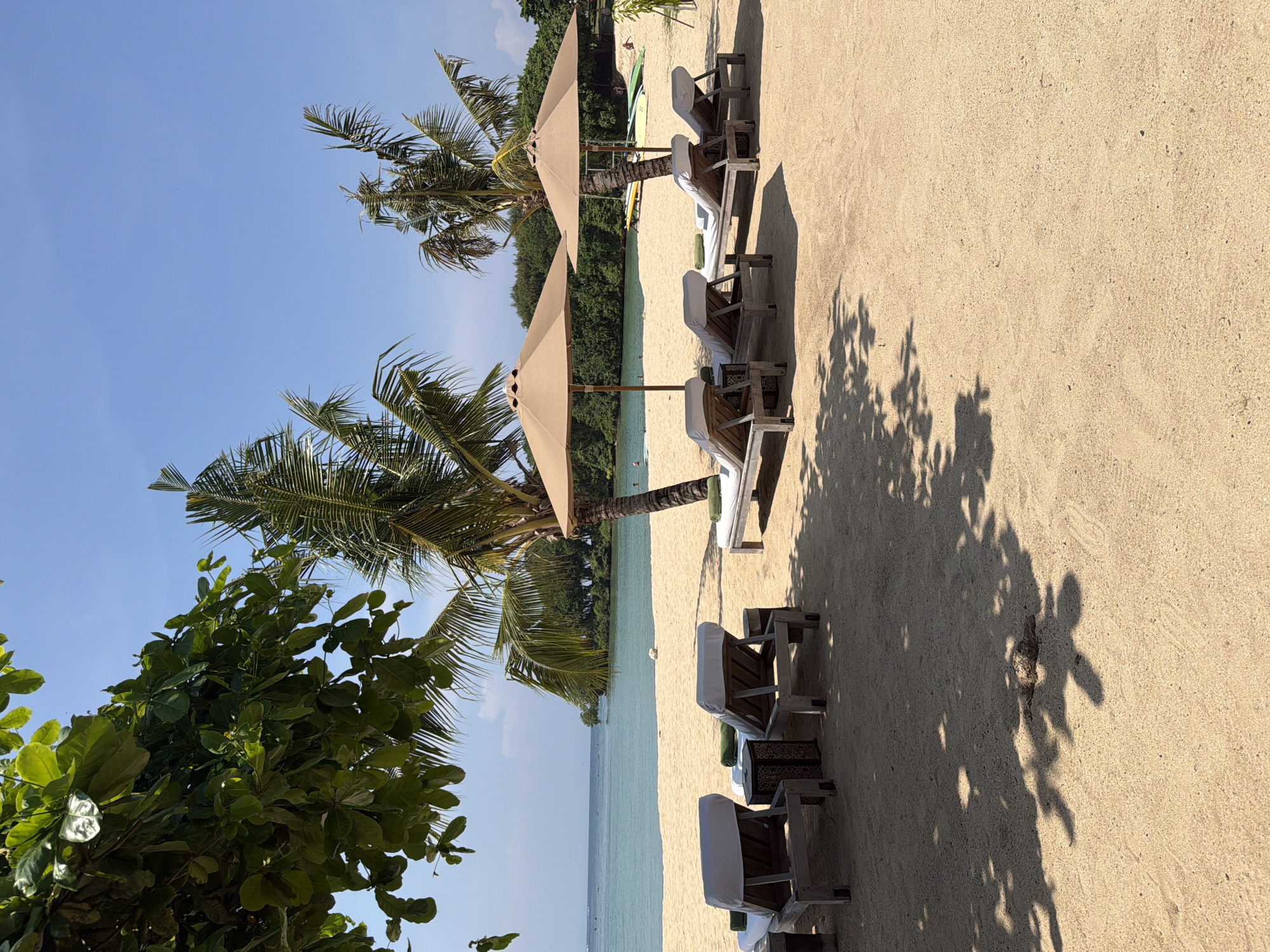 This image depicts a serene beach scene at a resort in Nusa Dua, Indonesia, under a clear blue sky. The foreground features light tan sand, partially shaded by the dense green foliage of an unseen overhead tree, which casts dappled shadows. Six wooden beach loungers with white cushions are arranged on the sand, facing the ocean. Two loungers are in the immediate foreground, separated by a small, dark patterned side table. Further back, two pairs of loungers are positioned beneath two open, beige circular beach umbrellas. Green rolled towels are visible on some of the loungers.
Several tall palm trees are scattered across the midground beach area, with two prominent ones positioned near the beach umbrellas. The tranquil, turquoise-blue ocean extends from the midground to the background. Across the water, a distant shoreline with dense green vegetation is visible. In the middle-right background, several brightly colored stand-up paddleboards or surfboards (yellow, green, white) rest on the sand near the water's edge. A few indistinct human figures are observed in the ocean, either swimming or wading. The scene is brightly lit by direct sunlight, indicated by distinct shadows.