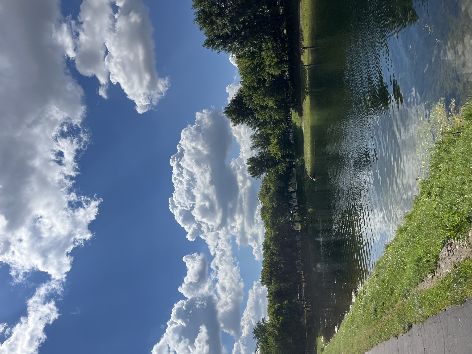 This is a vertical, eye-level, medium shot of a body of water bordered by a grassy embankment and a line of trees under a blue sky with white, puffy clouds. The water is dark and reflects the sky and trees, with ripples disturbing the surface. A paved path runs along the left edge of the frame, adjacent to the grass. In the distance, across the water, a dense line of green trees forms the backdrop. A few people are visible on the far bank, some standing near the water, suggesting they may be fishing. There are no discernible structures or signs that would indicate the specific location within Moscow, Russia. The overall scene depicts a calm, natural environment within a park or recreational area.