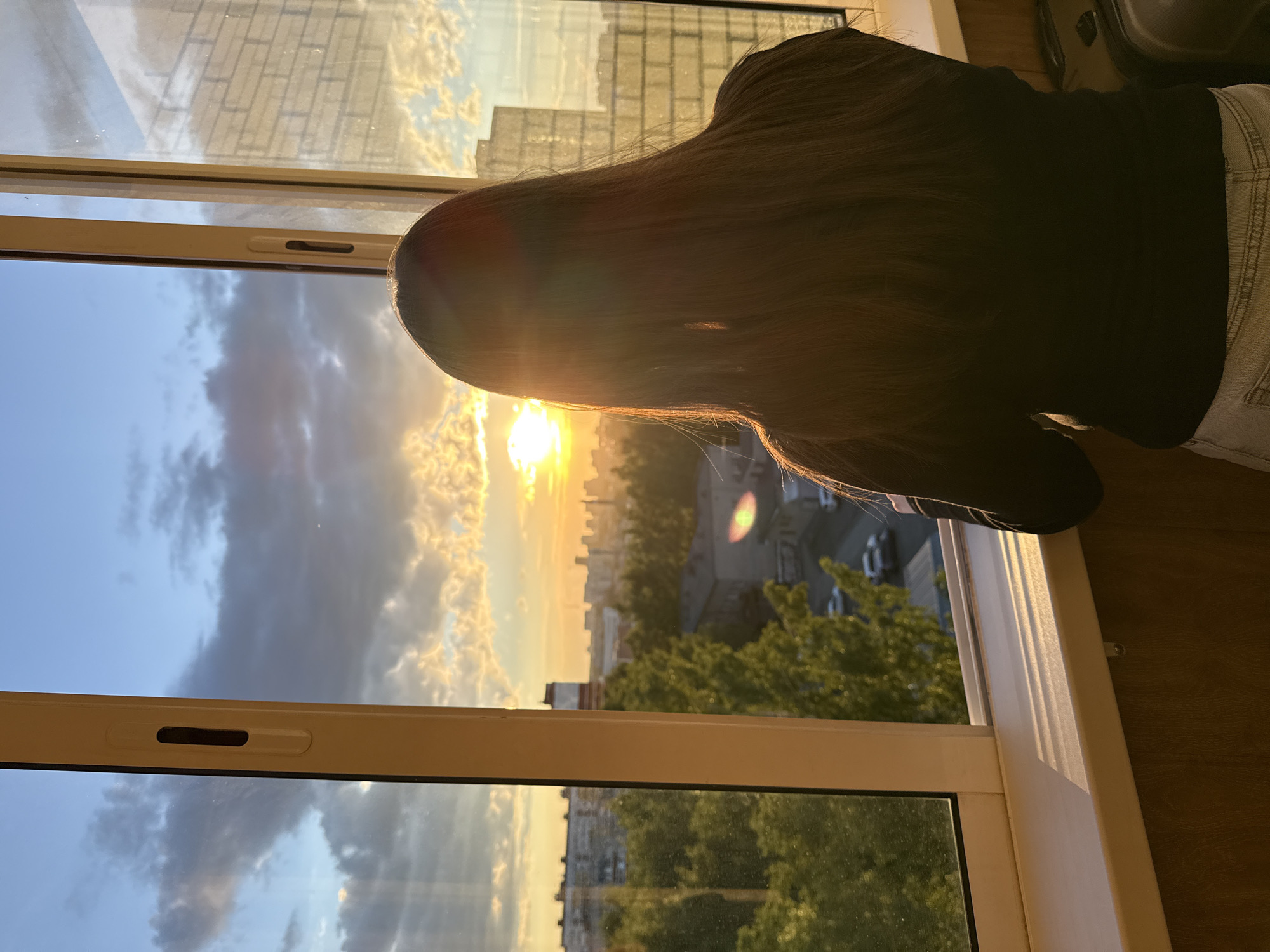 A vertically oriented image captures a person from behind, leaning against a white window frame and looking out at an urban landscape bathed in the warm light of sunset or sunrise. The individual has long, dark hair and is wearing a dark top and light-colored jeans. Their head is positioned towards the left of the frame, gazing towards the bright horizon on the right.
The window frame prominently divides the scene, with an interior view on the right showing a dark, wood-textured wall. The outdoor scene, visible through the window on the left, features a brilliant sun low on the horizon, emitting a strong golden glow and a noticeable lens flare. The sky is partially cloudy, with large, dramatic clouds reflecting the golden and orange hues of the setting or rising sun, contrasting with patches of blue sky. Below the horizon, a cityscape extends into the distance, with various buildings and an abundance of lush green trees, indicative of an urban environment like Izhevsk, Russia.
The activity depicted is the quiet observation of the outdoor view, likely appreciating the beautiful twilight. The image conveys a peaceful and contemplative mood, highlighting the natural beauty of the golden hour. No visible text is present in the image.