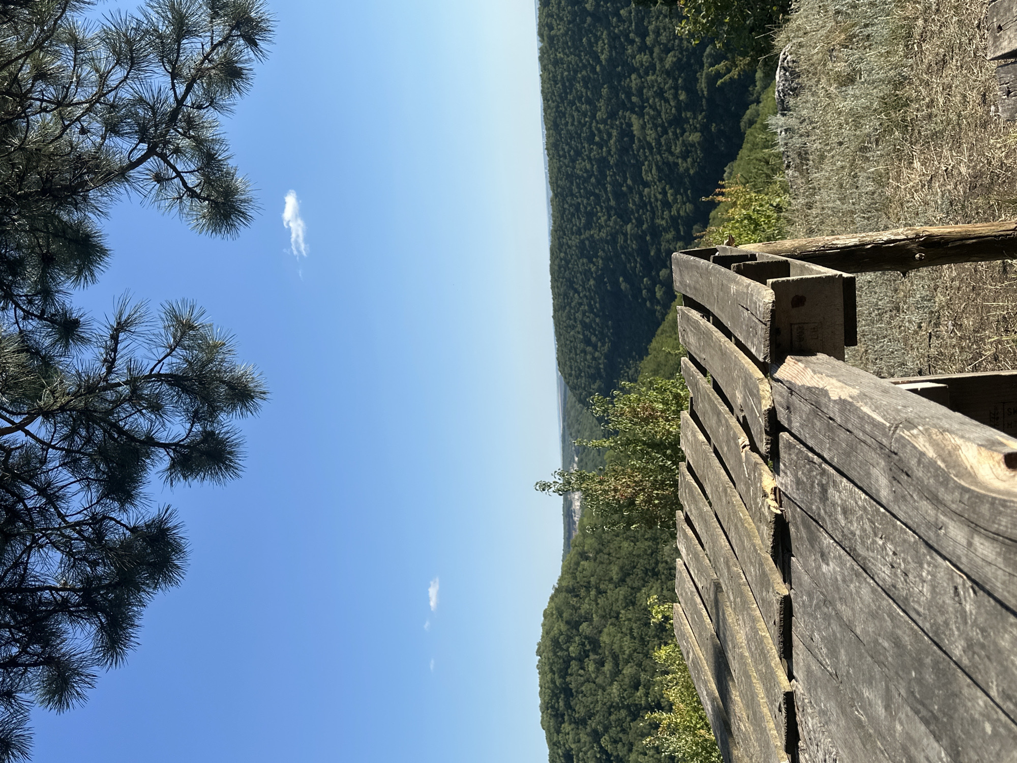 The image shows a wooden table and benches with a view of a valley covered in trees under a clear blue sky. The table is made of weathered, gray planks. In the distance, rolling hills covered in dense green trees stretch out to the horizon. A few sparse clouds are visible in the sky. The foreground features dry grass and some rocks. The location is identified as Malozalissia, Ukraine. There are no people visible in the image.