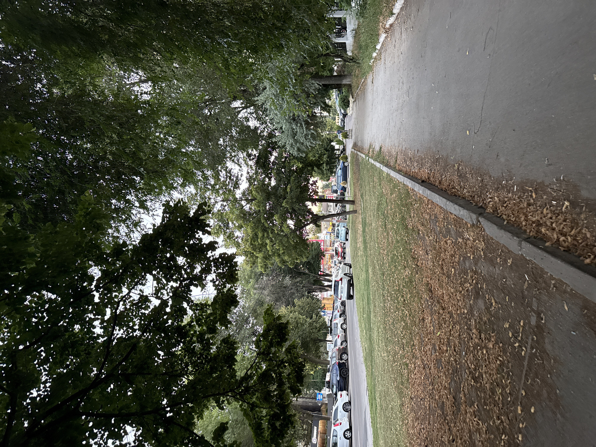 The image depicts a street scene in Chișinău, Moldova. A paved sidewalk runs along the right side of the frame, bordered by a grassy area on the left. The grassy area is covered in fallen leaves, suggesting it may be autumn. A row of parked cars lines the street on the left side, with a building visible behind them. Tall trees with dense foliage are prominent throughout the image, casting shadows and creating a canopy overhead. The sky is partially visible through the leaves, appearing overcast. The overall atmosphere is that of a quiet, tree-lined street in a city. There are no people clearly visible in the immediate foreground, though there is a distant figure on the sidewalk further down the street.