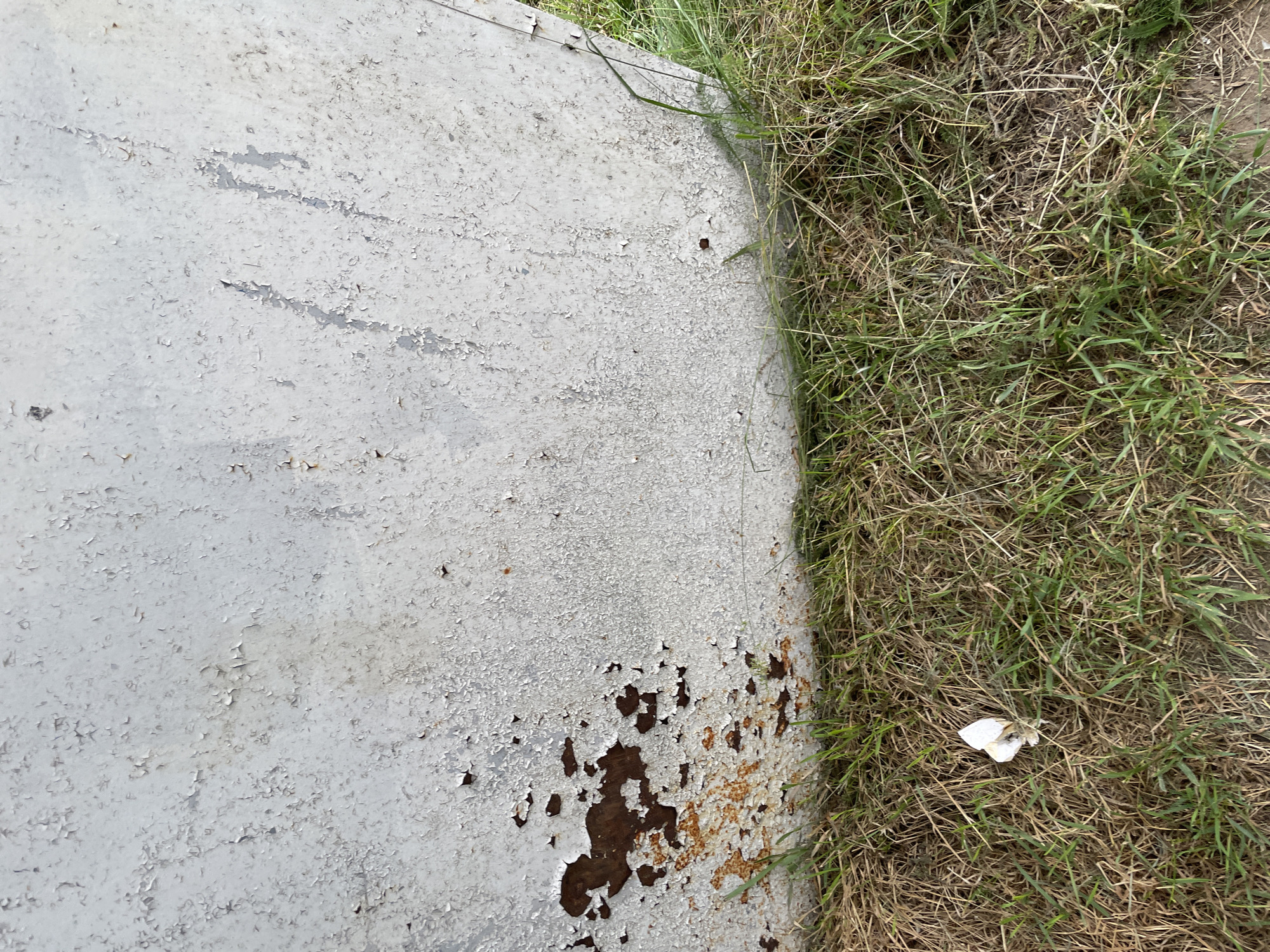 An outdoor, eye-level shot depicts a close-up view of a weathered, light gray metallic surface juxtaposed with dry and green grass. The metallic surface shows signs of significant peeling paint and rust, particularly in the lower left quadrant, revealing a reddish-brown underlayer. The grass in the foreground varies in color from dry tan to vibrant green, with some longer, dry stalks mixed with shorter, fresh blades. A small, white crumpled piece of paper or debris lies on the grass near the center left of the frame. The scene appears to be located at ground level, likely in a natural or semi-urbanized area with unkempt vegetation. The lighting suggests it is daytime.