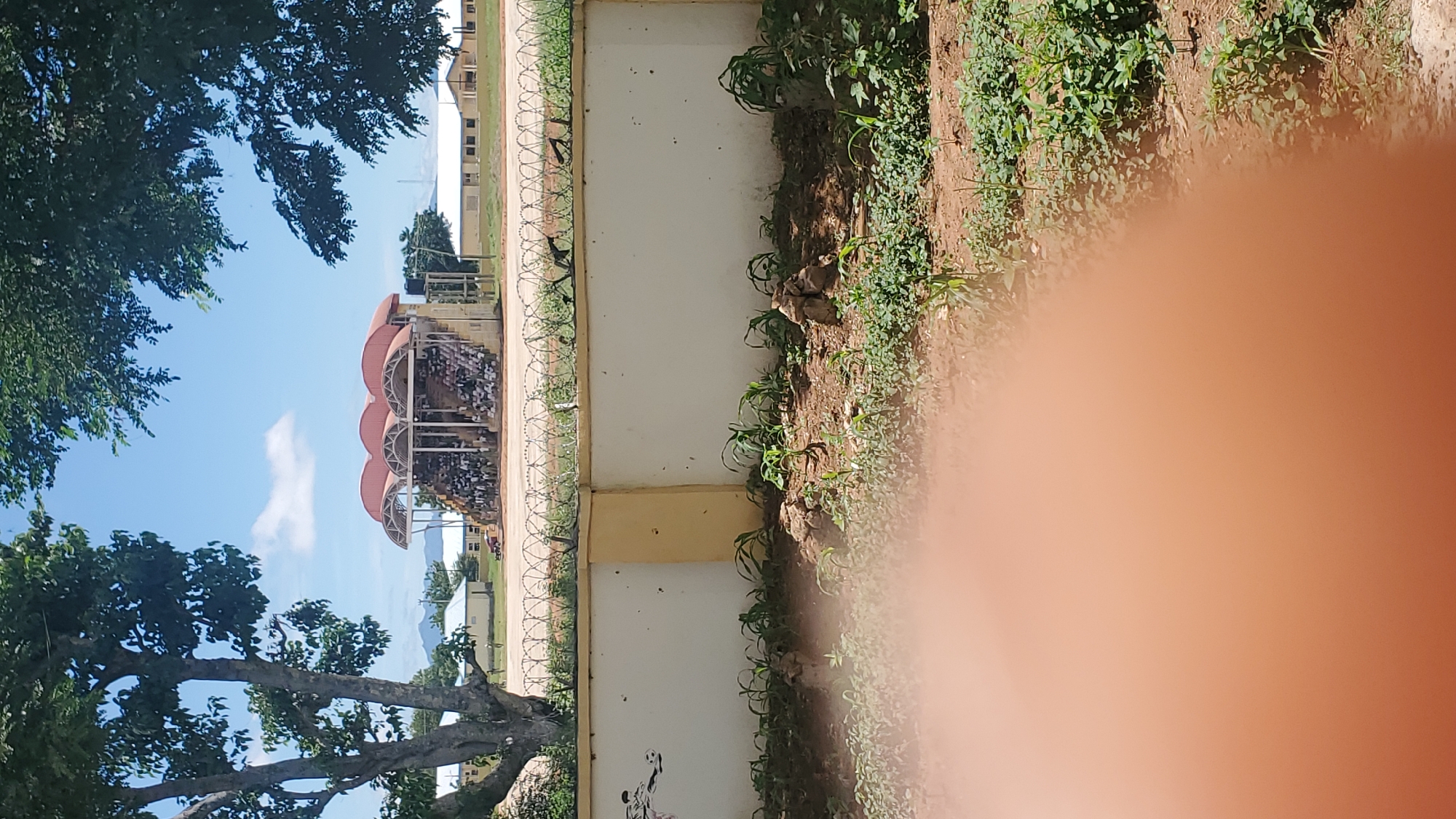 The image shows a stadium with bleachers filled with spectators. The stadium is located in Jalingo, Nigeria, and is surrounded by trees and buildings. The weather is sunny, and the sky is clear. There is a white wall in the foreground, with barbed wire on top of it. Several young plants are growing in the dirt in front of the wall. The image appears to have been taken from a slightly elevated position.