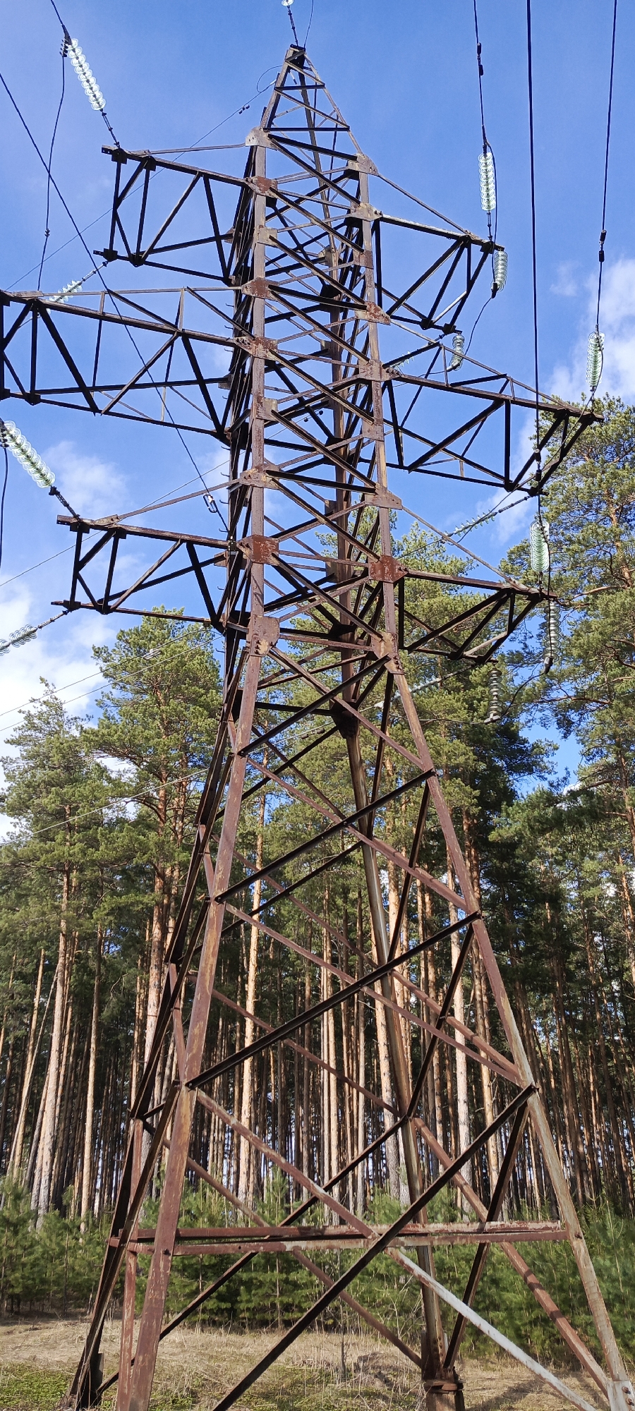 A tall, rusty metal lattice power line pylon dominates the center of the image, extending upwards against a bright blue sky with sparse white clouds. The pylon's structure is made of interconnected steel beams, heavily covered in reddish-brown rust, indicating its age or exposure to the elements. Multiple power lines emanate from the pylon's upper sections, supported by strings of clear, disc-shaped glass insulators.
The pylon is situated within a dense pine forest. The trees have straight, tall trunks and green needles, forming a thick backdrop behind and around the industrial structure. The ground beneath the pylon is covered with dry, sparse grass and some faint ground vegetation, suggesting a non-urban, possibly rural or wilderness setting.
The scene appears to be set during the daytime, likely under clear and sunny weather conditions, given the vibrant blue of the sky and the overall lighting. There are no people visible in the image, nor is there any discernible activity other than the static presence of the pylon and its power lines. No text or specific markings are visible on the pylon or insulators. The location context is Chaikovsky, Russia.
