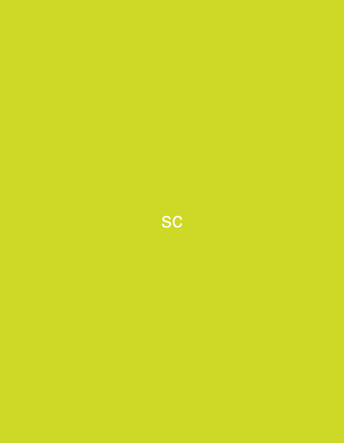 The scene, situated in Casablanca, Morocco, features a solid, uniform yellow-green background. Against this plain backdrop, the white sans-serif letters "SC" are centrally positioned in the lower half of the frame. No other subjects, objects, or environmental details are discernible within the image.