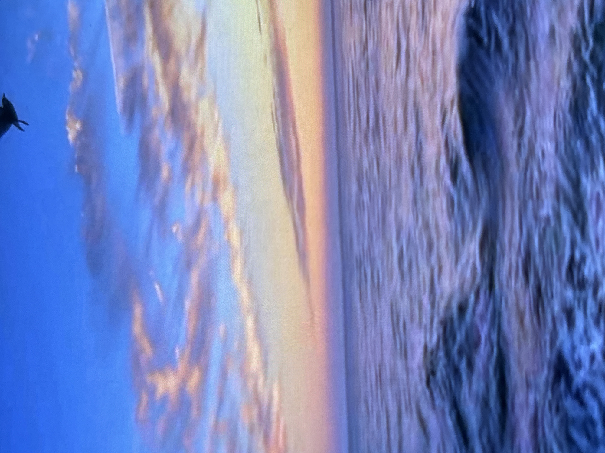 The image displays a vast natural landscape, likely captured during sunrise or sunset. A dark silhouette of a bird, possibly a swallow or swift with a distinctive forked tail, is visible in the upper left section, flying against a bright blue sky. The sky transitions horizontally across the frame, starting with a clear blue on the left and gradually blending into warm shades of yellow, orange, and pink towards the center and right, where illuminated clouds are present. Below this horizon, a large body of water, possibly an ocean or sea, occupies the right half of the image. The water's surface appears textured with vertical, streaky patterns in various tones of purple and blue, indicative of choppy waves or light reflecting on the water. No discernible text is visible in the image.