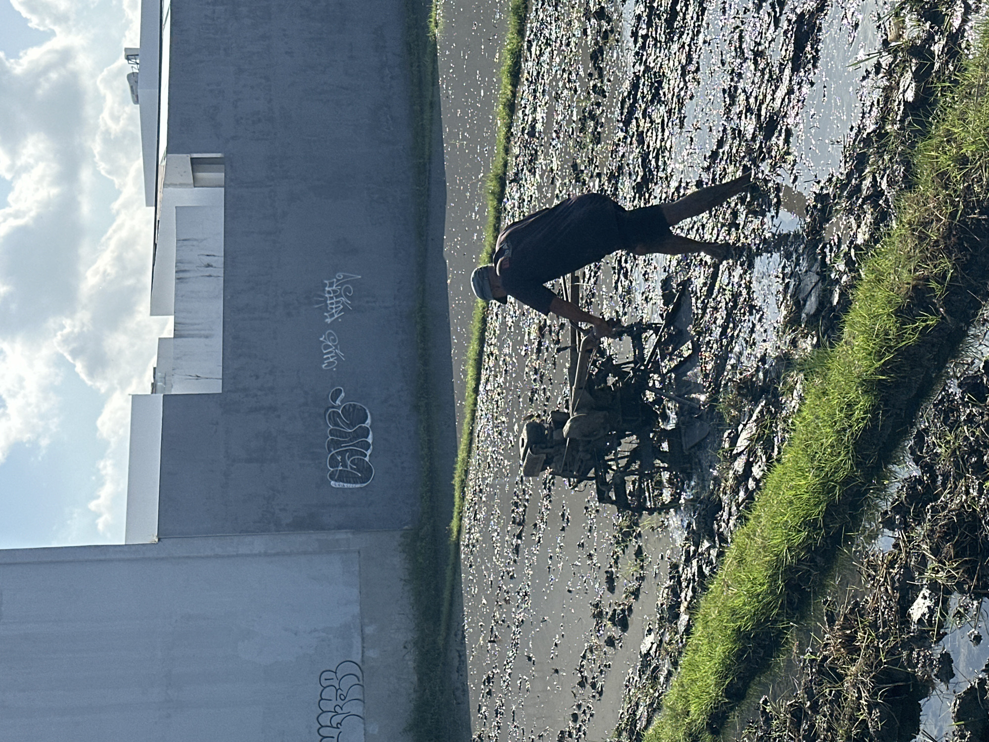 In North Kuta, Indonesia, a person is operating a walk-behind tractor in a flooded rice paddy. The person is wearing a dark t-shirt, dark shorts, a cap, and is barefoot, with their legs submerged in the muddy water. The tractor, a mechanical device with wheels and an engine, is actively tilling the soil. The environment consists of a muddy field with patches of green grass, reflecting the bright sky filled with clouds. In the background, a grey wall with graffiti is visible, behind which are modern buildings with white accents. The overall scene depicts agricultural work taking place in an urban or semi-urban setting.