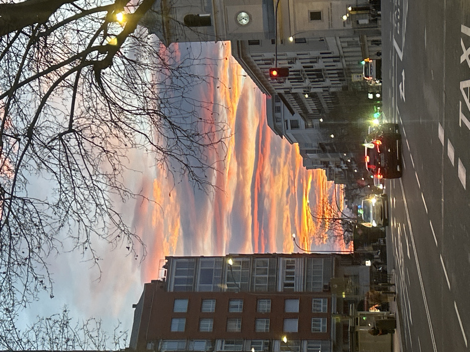 A city street at sunset features buildings lining the sides. The sky showcases vibrant hues of orange, pink, and purple clouds. Leafless tree branches frame the left side of the image. Cars travel on the right side of the street. Streetlights illuminate the road, and the word "TAXI" is painted in white on the pavement. A clock tower tops one of the buildings.