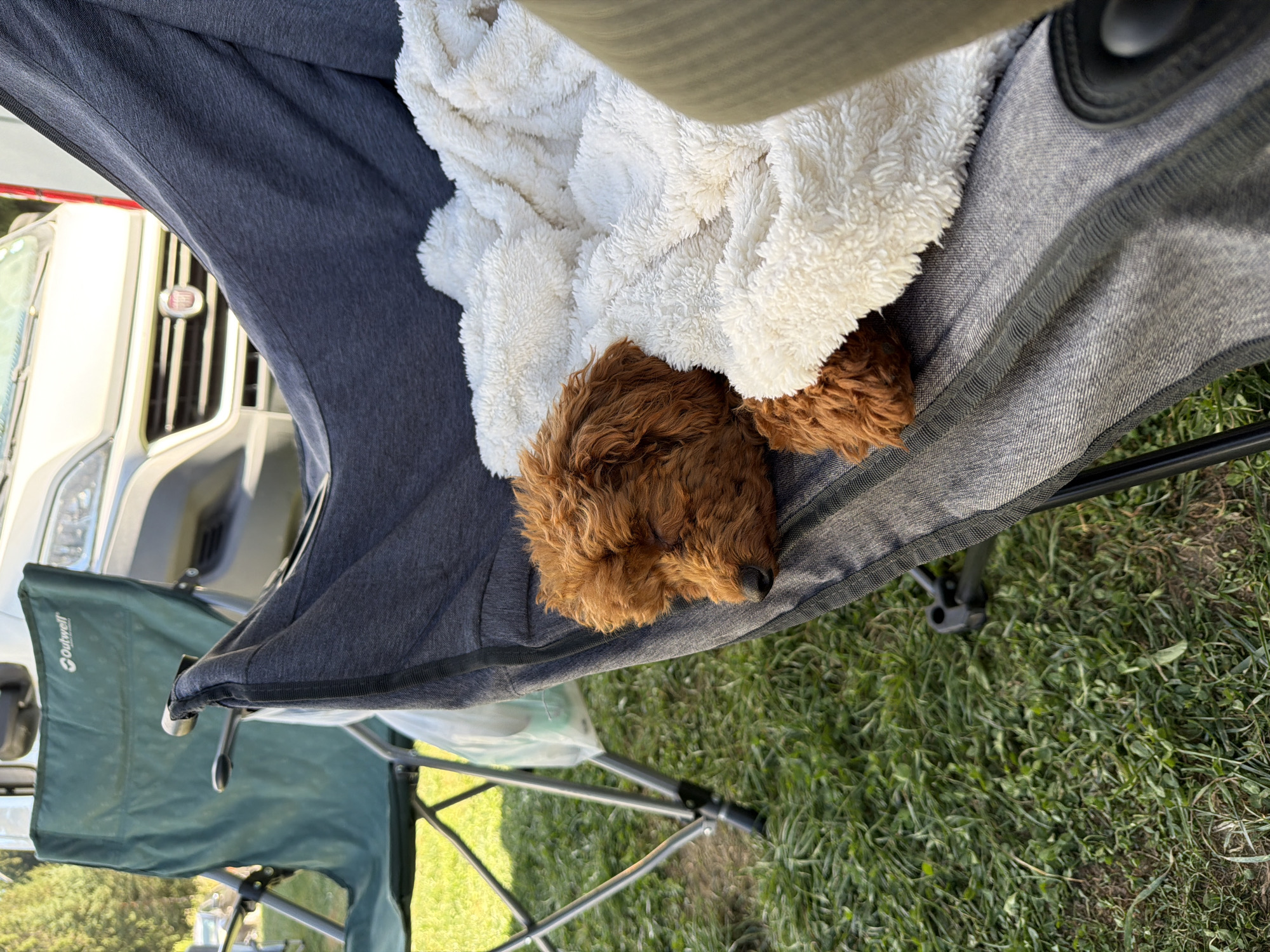 A small, fluffy, reddish-brown dog is sleeping on a gray camping chair, partially covered by a white, fluffy blanket. The dog's head is resting on its paws, and its eyes are closed. The camping chair is set up on a grassy area, with a green camping chair and the front of a white camper van visible in the background. The scene appears to be a campsite. The location is the city of Sarnitsa, Bulgaria.