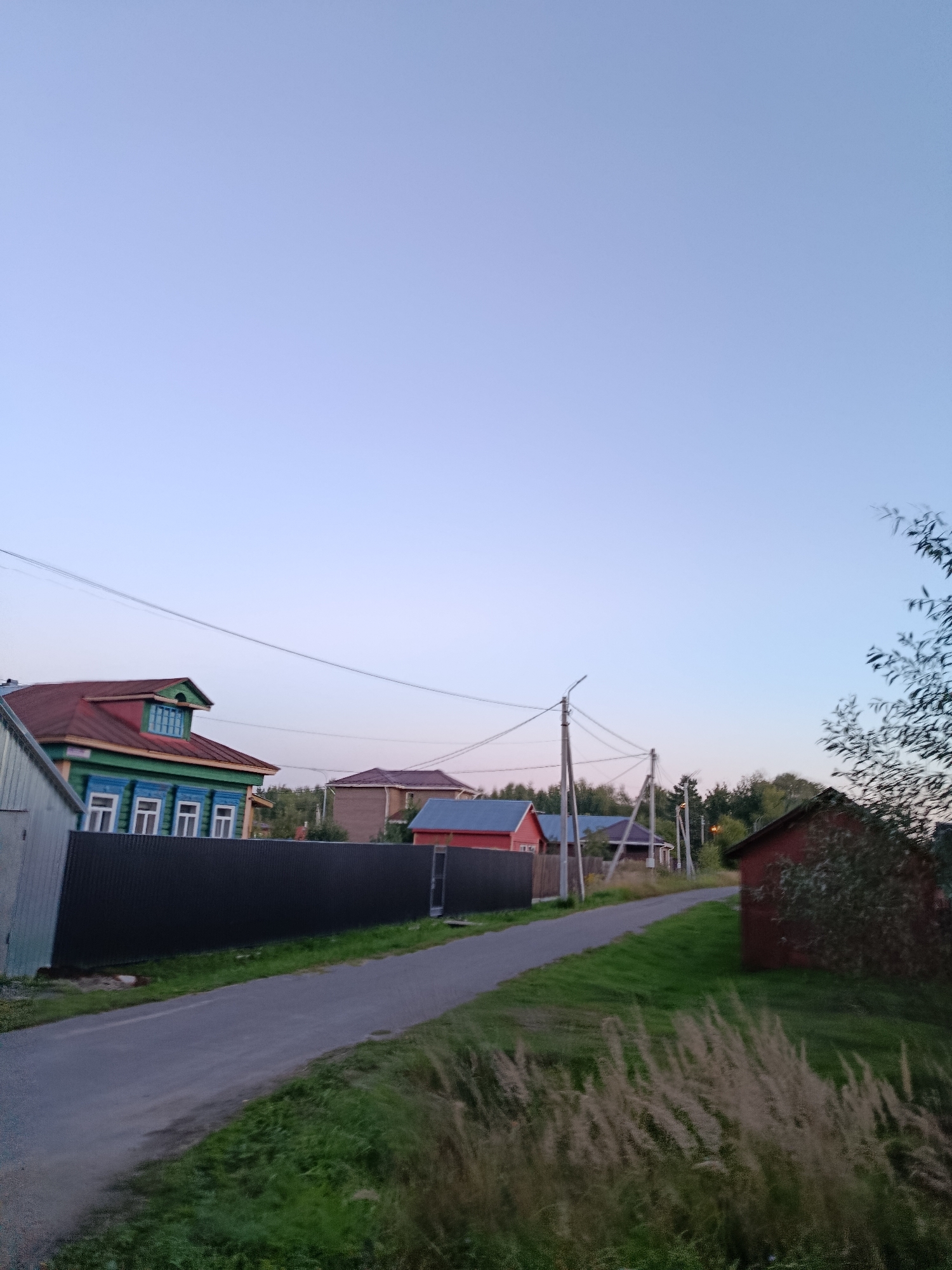 In the city of Vereya, Russia, an image captures a rural residential street scene at dusk. The sky is a gradient of pale blue, transitioning to a lighter hue near the horizon. On the left, a traditional wooden house with a red roof, green walls, and blue-trimmed windows stands behind a tall, dark metal fence. Several other houses with red and blue roofs are visible further down the street, nestled amongst trees. Power lines crisscross the sky, supported by utility poles along the asphalt road. The road is flanked by green grass and tall, dry reeds or grasses in the foreground. A small red shed is situated on the right side of the image, partially obscured by foliage. The overall impression is a quiet evening in a village setting.