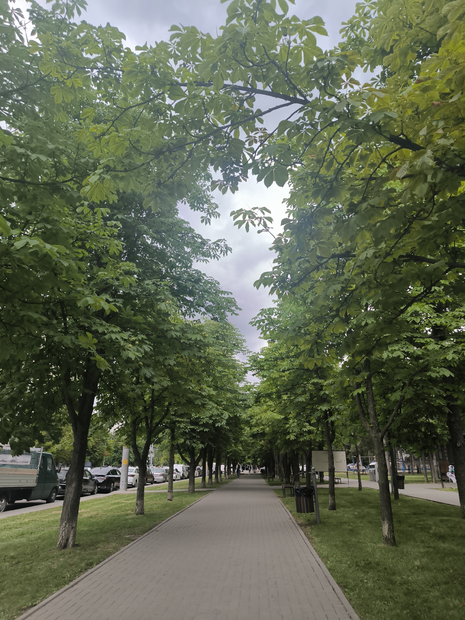The image depicts a tree-lined pedestrian walkway in the city of Chișinău, Moldova. The walkway is paved with interlocking grey stones and runs alongside a grassy area. On the left side of the walkway, a row of trees with lush green foliage creates a canopy overhead, with branches arching towards the center. Beyond the trees on the left, a street is visible with parked cars and a green truck. On the right side of the walkway, more trees are present, with park benches and trash receptacles situated between them. In the distance, the walkway continues, with a few people walking and children playing in a park area. The sky is overcast with grey clouds. The scene appears to be a public park or a boulevard in a residential or commercial district.