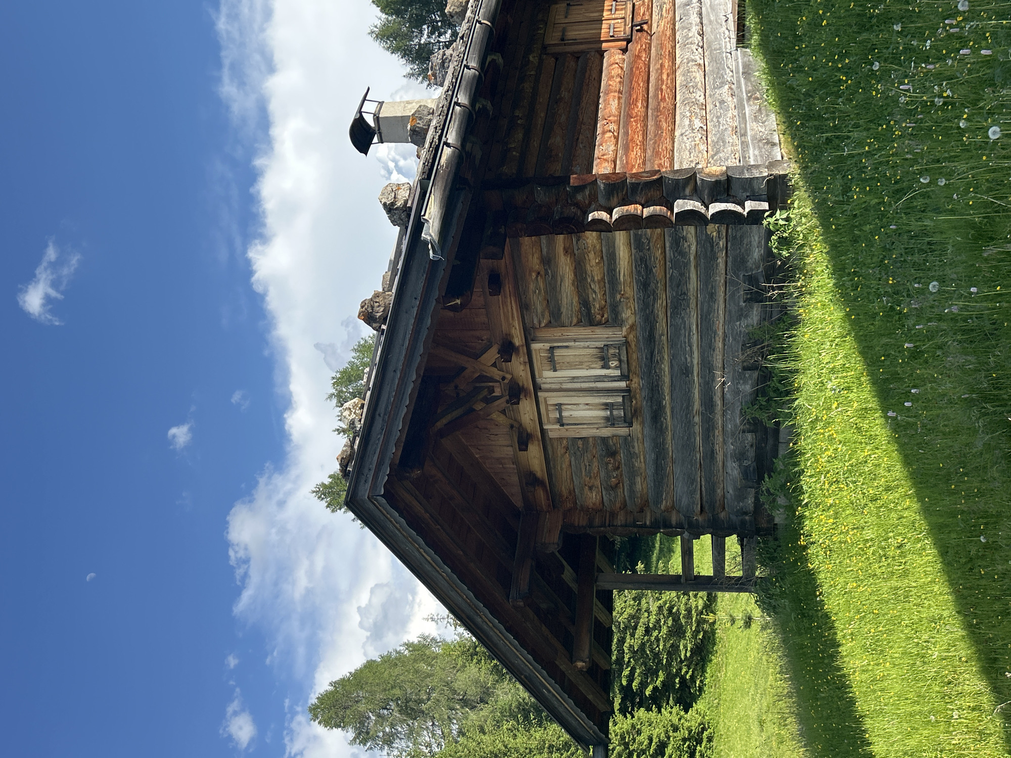 An outdoor, eye-level, medium shot captures a rustic, wooden log cabin nestled in a grassy field with a backdrop of dense evergreen trees under a blue sky with scattered clouds and a visible crescent moon. The cabin, constructed from dark and reddish-brown logs, features a steeply pitched roof adorned with rocks and a stone chimney with a cap. A small wooden window with closed shutters is visible on the front of the cabin. The sun casts a sharp shadow across the vibrant green grass, which is dotted with small yellow flowers and white seed heads. The overall impression is one of a tranquil, secluded mountain dwelling.