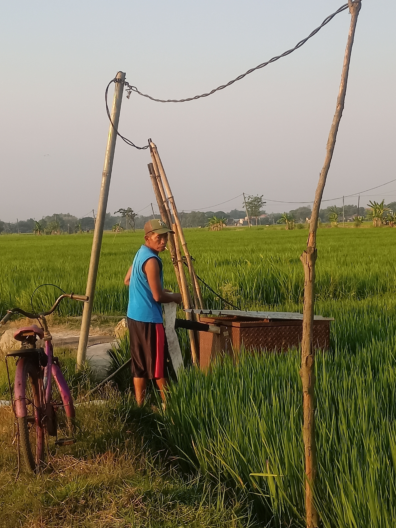 In the rural landscape of Karangtalun, Indonesia, a man stands in a lush green rice paddy. He is wearing a blue tank top, black shorts with red trim, and a green baseball cap. The man appears to be holding something white in his hands and has a cigarette in his mouth. He is positioned next to a metal structure and several wooden poles that support overhead wires. To the left of the man, a purple bicycle with a basket is leaning against a pole. The background reveals more of the expansive rice fields, with scattered trees and buildings in the distance, bathed in the soft light of what appears to be late afternoon. The scene suggests a moment of rest or work in an agricultural setting.