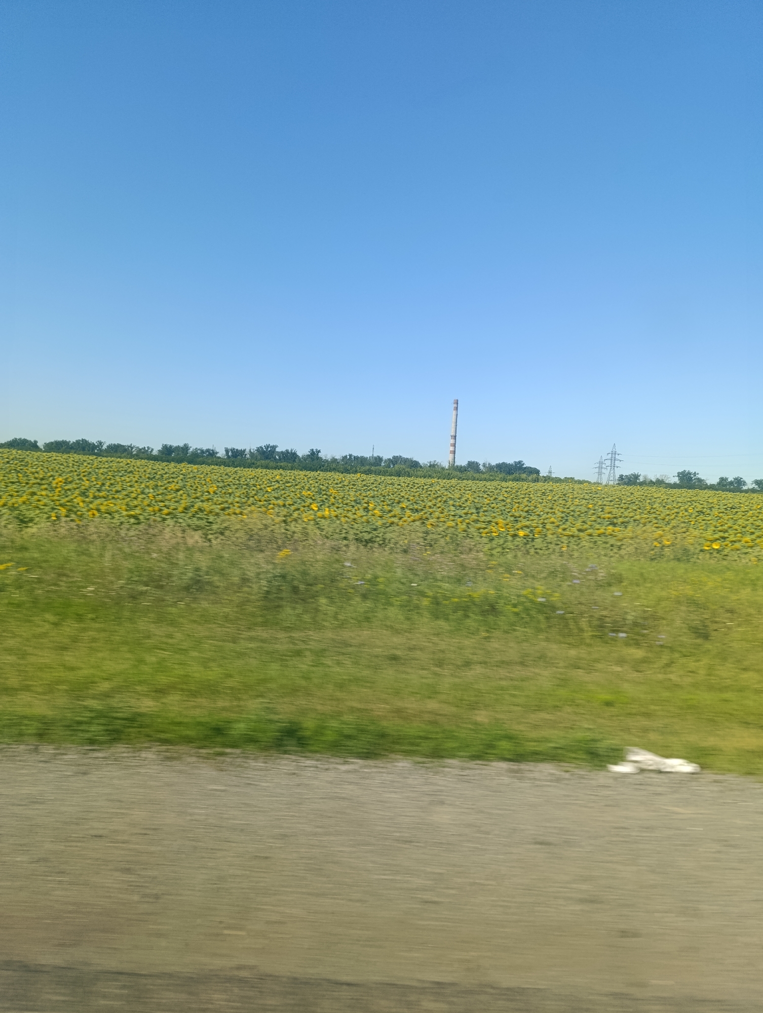 A vast field of sunflowers stretches across the horizon under a clear blue sky. In the distance, a tall, striped smokestack rises above a line of trees, accompanied by power lines. In the foreground, a blurred patch of green grass borders a dirt road, upon which a white object is visible. The image appears to have been taken from a moving vehicle, indicated by the motion blur.