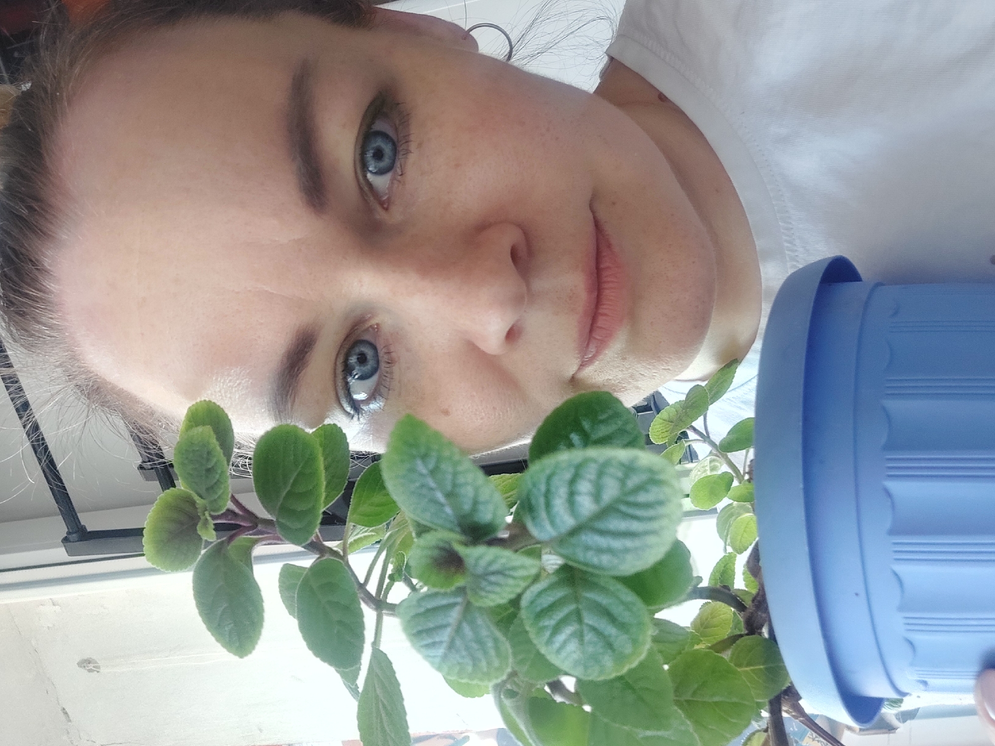 The image shows a woman looking down at a potted plant. The woman has fair skin, blue eyes, and her hair is pulled back. She is wearing a white shirt. The plant has green leaves and is in a blue pot. The background is a window and a metal bar. The image was taken from a low angle, looking up at the woman and the plant. The location is assumed to be in the city of Chaikovsky, Russia, but there is no specific indicator within the image to confirm this location.