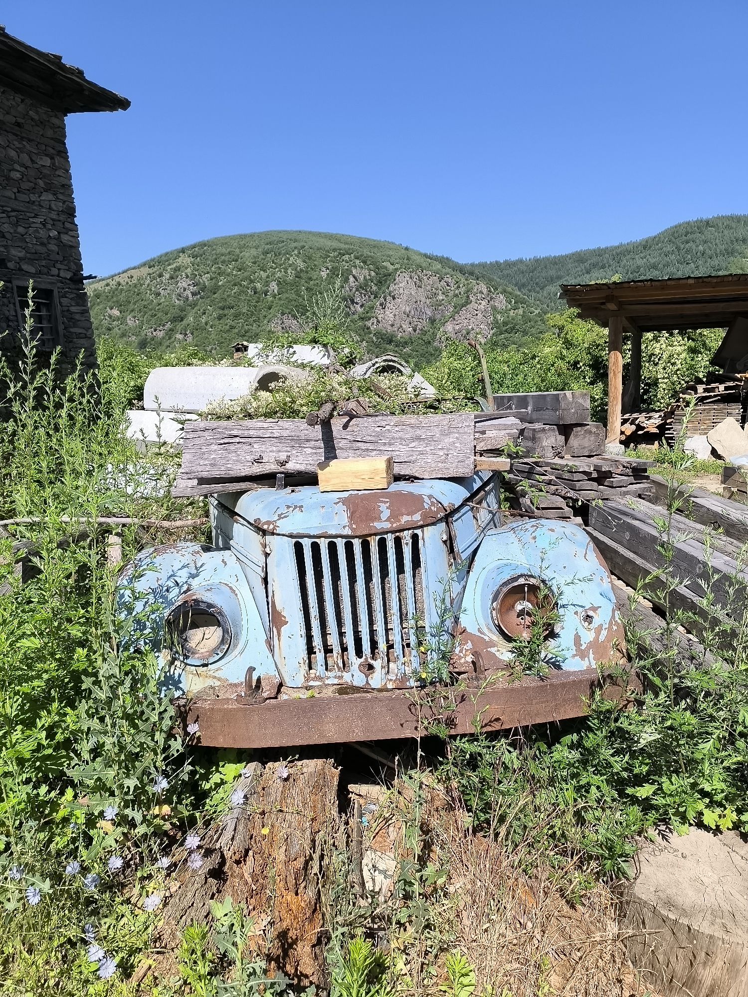 In the village of Kovachevitsa, Bulgaria, an abandoned blue truck sits overgrown with vegetation. The truck, heavily rusted and weathered, is partially obscured by tall green plants and wildflowers. Logs and other construction materials are piled around and on top of the vehicle, suggesting it has been left for a considerable time. In the background, a stone building stands to the left, and a rustic wooden structure to the right. Lush green hills form the backdrop under a clear blue sky.