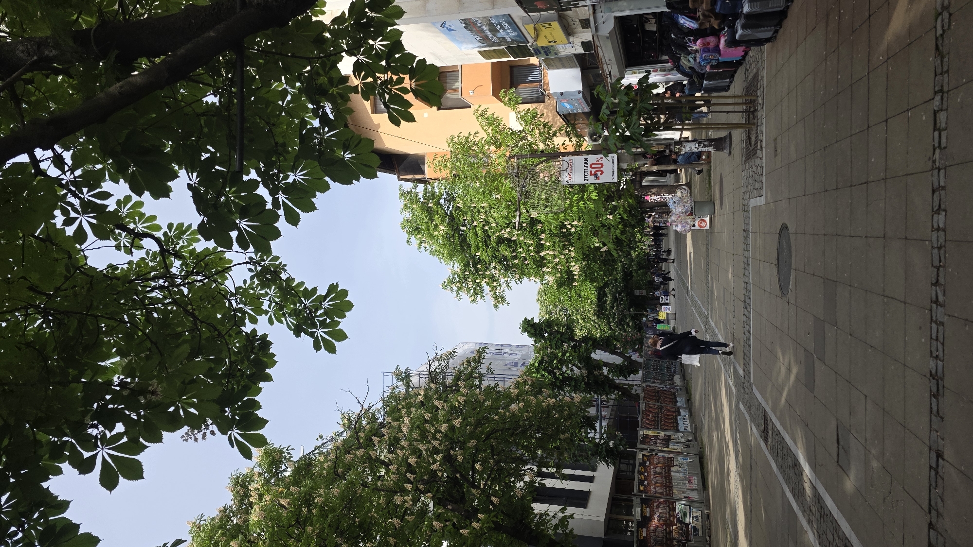 The image depicts a street scene in Blagoevgrad, Bulgaria. The street is paved with large, light-colored tiles, and is lined with buildings of varying heights and architectural styles. On the right side of the street, there are shops and storefronts displaying merchandise. People are walking along the sidewalk. A woman in a dark suit is walking on the sidewalk. The street is lined with mature trees, their branches and foliage extending over the walkway, partly obscuring the view of the buildings. The trees are in bloom with white flowers. A sign with the words "ОТСТЪПКИ 50%" is visible on the right. The sky is visible between the buildings and trees.