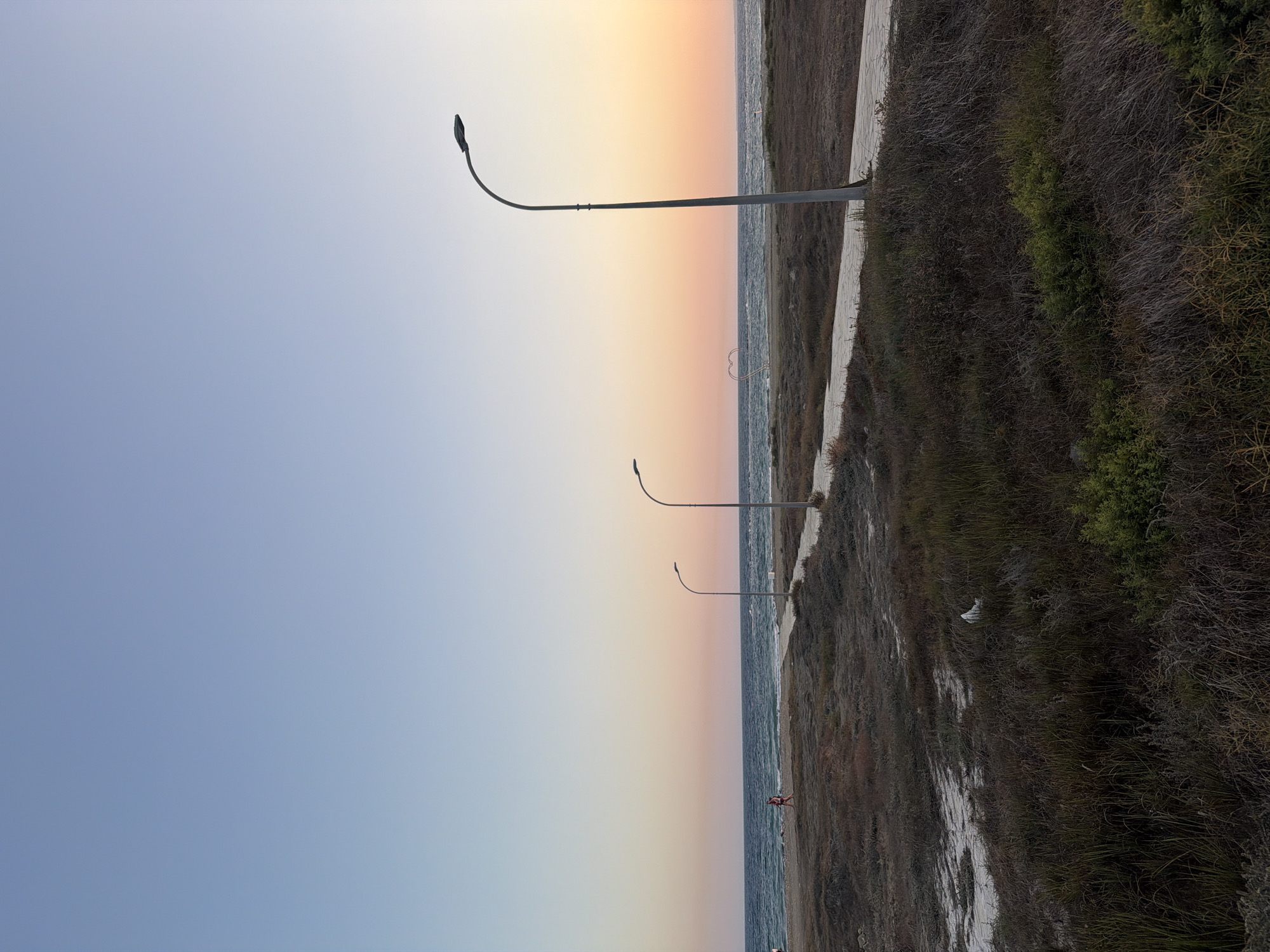The image depicts a coastal scene at dusk in Meneou, Cyprus. In the foreground, dry grasses and low vegetation cover the sandy terrain. A paved pathway, likely a promenade or walkway, meanders from the right side of the frame towards the left, bordered by sparse vegetation. Three streetlights, characterized by their slender poles and curved fixtures, are strategically placed along the pathway, illuminating the area.
In the midground, the turquoise waters of the sea stretch across the horizon, meeting a pale pink and orange sky. A beach separates the vegetation from the sea. A solitary figure, dressed in red and orange attire, walks along the beach in the distance. Further out at sea, a pink heart-shaped structure is visible.
The sky transitions from a clear, light blue at the top to soft hues of pink and orange near the horizon, indicating either sunrise or sunset. Two birds are captured in flight over the sea. The overall atmosphere is serene and tranquil, capturing the quiet beauty of the Cypriot coastline at twilight.